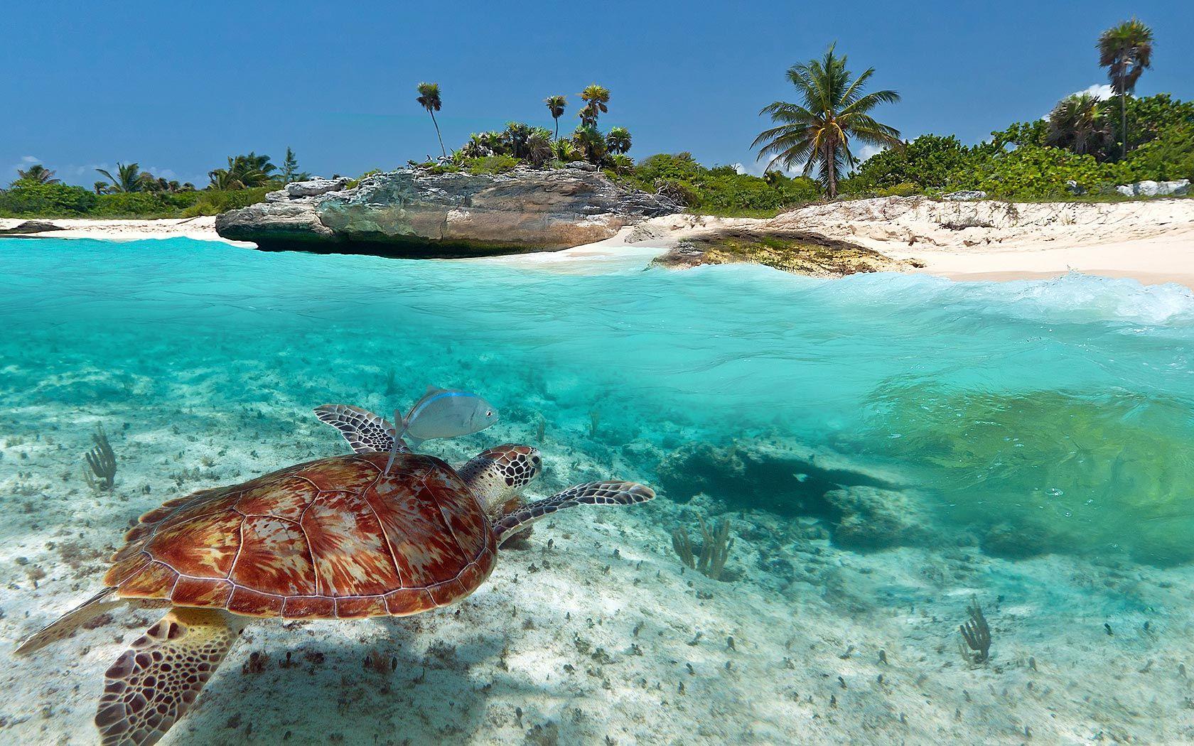 Playa Del Carmen Wallpapers Wallpaper Cave