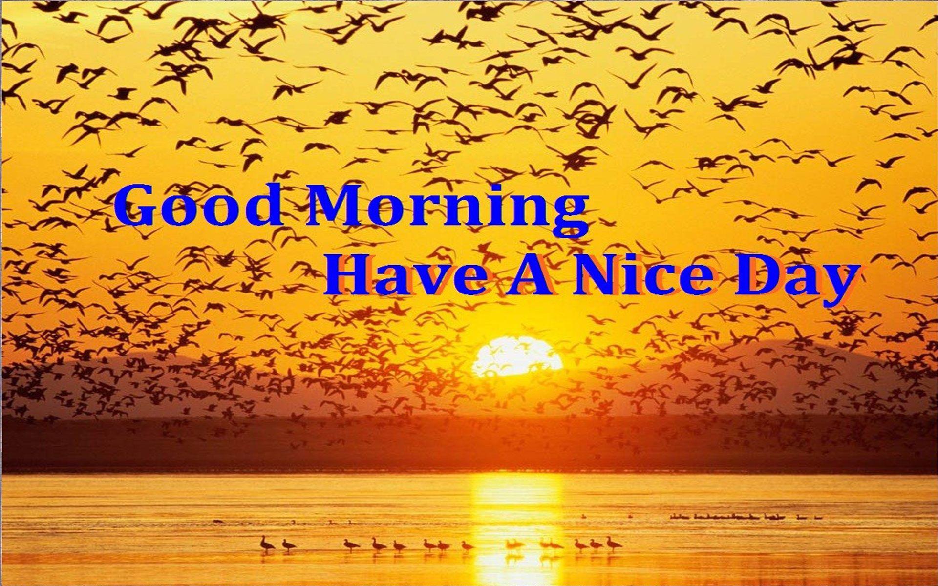 Have A Nice Day Wallpapers Wallpaper Cave