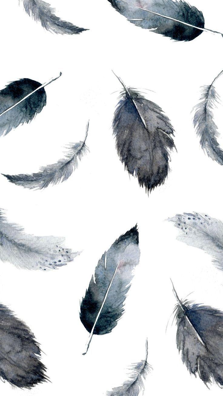 Feather Wallpapers Wallpaper Cave