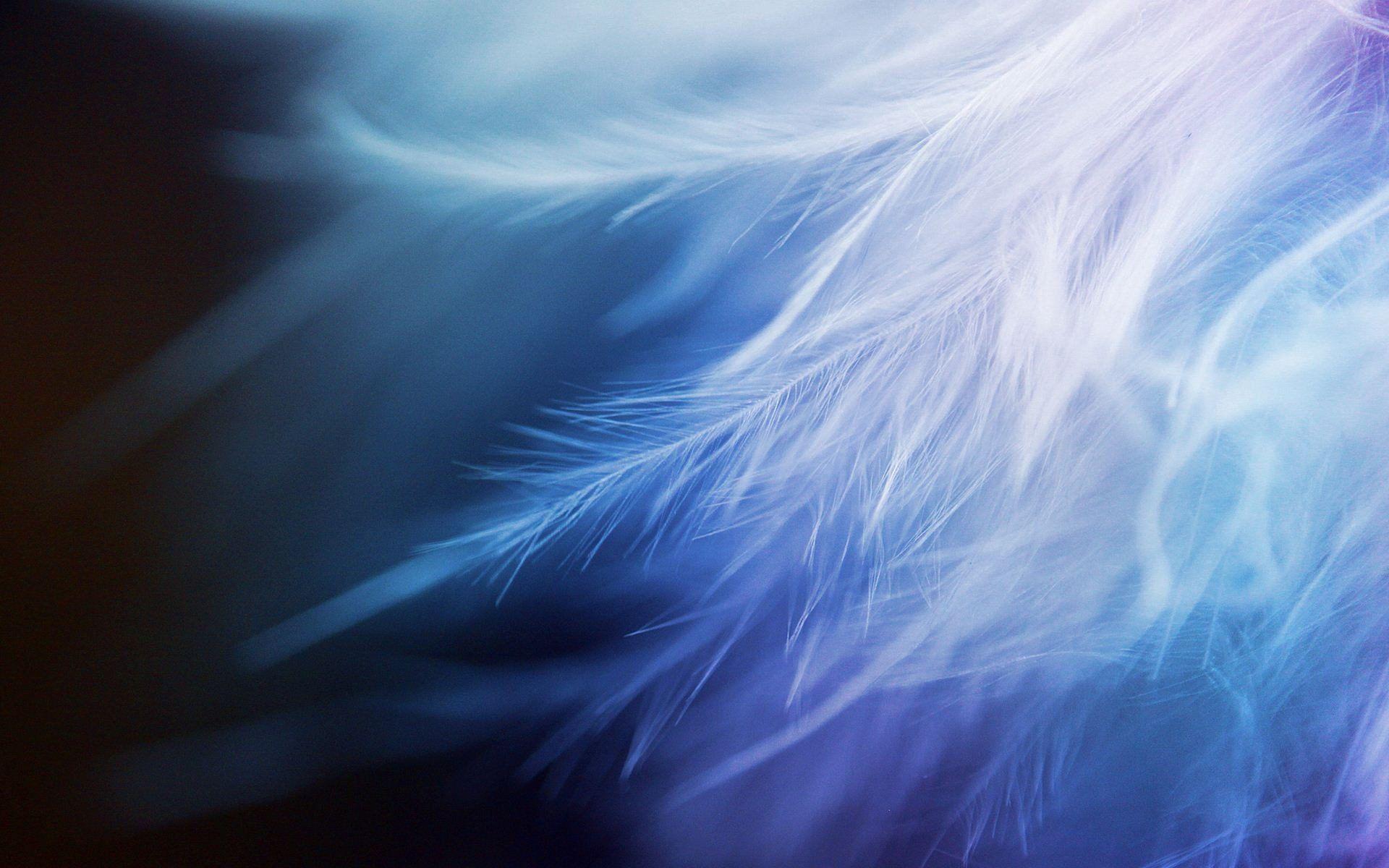 Feather Wallpapers Wallpaper Cave