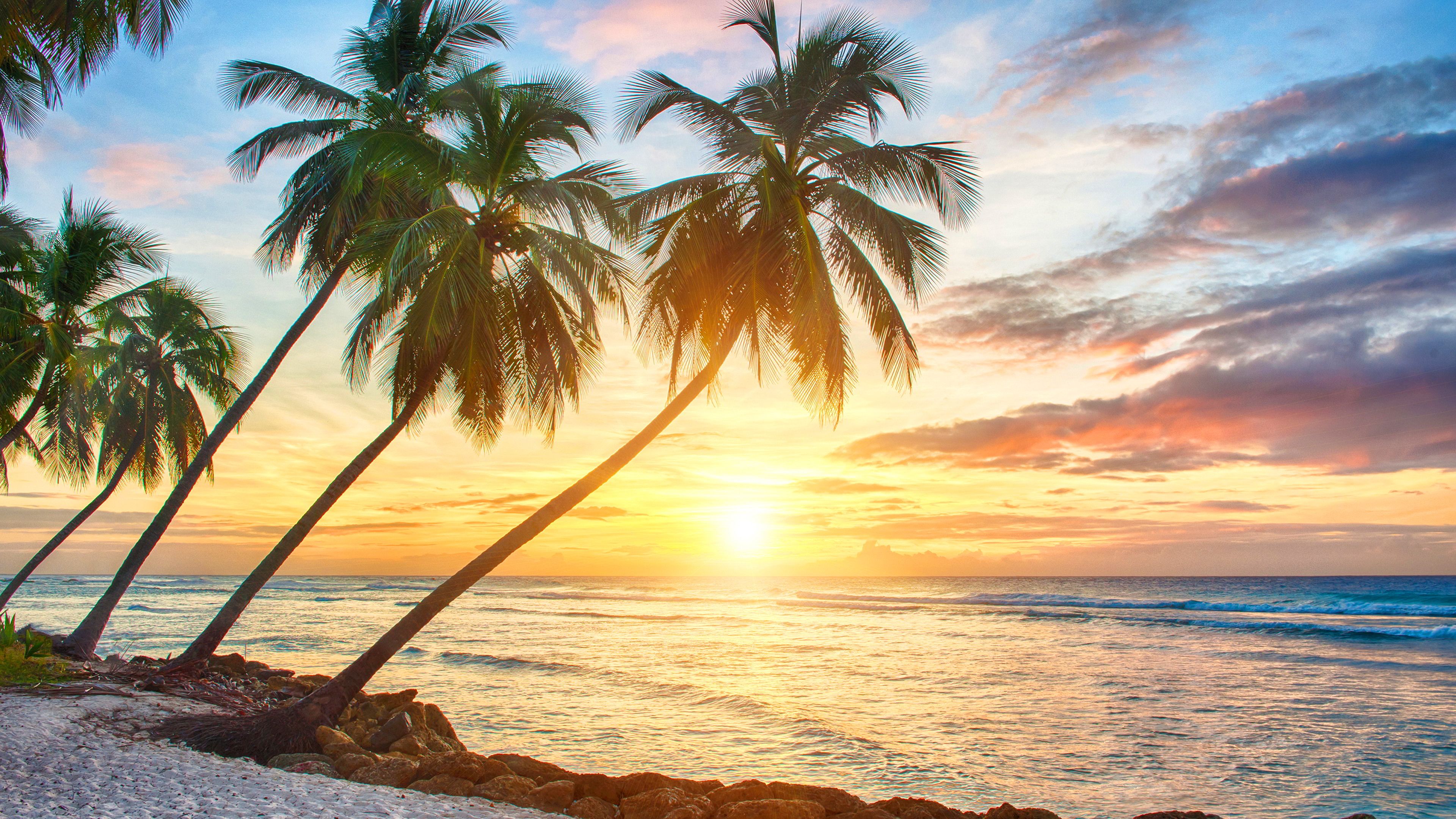 Tropical Sunsets Wallpapers Wallpaper Cave