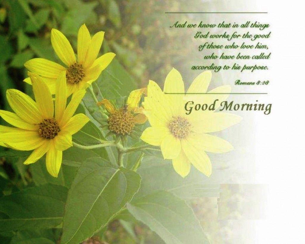 Good Morning Image Wallpapers Wallpaper Cave