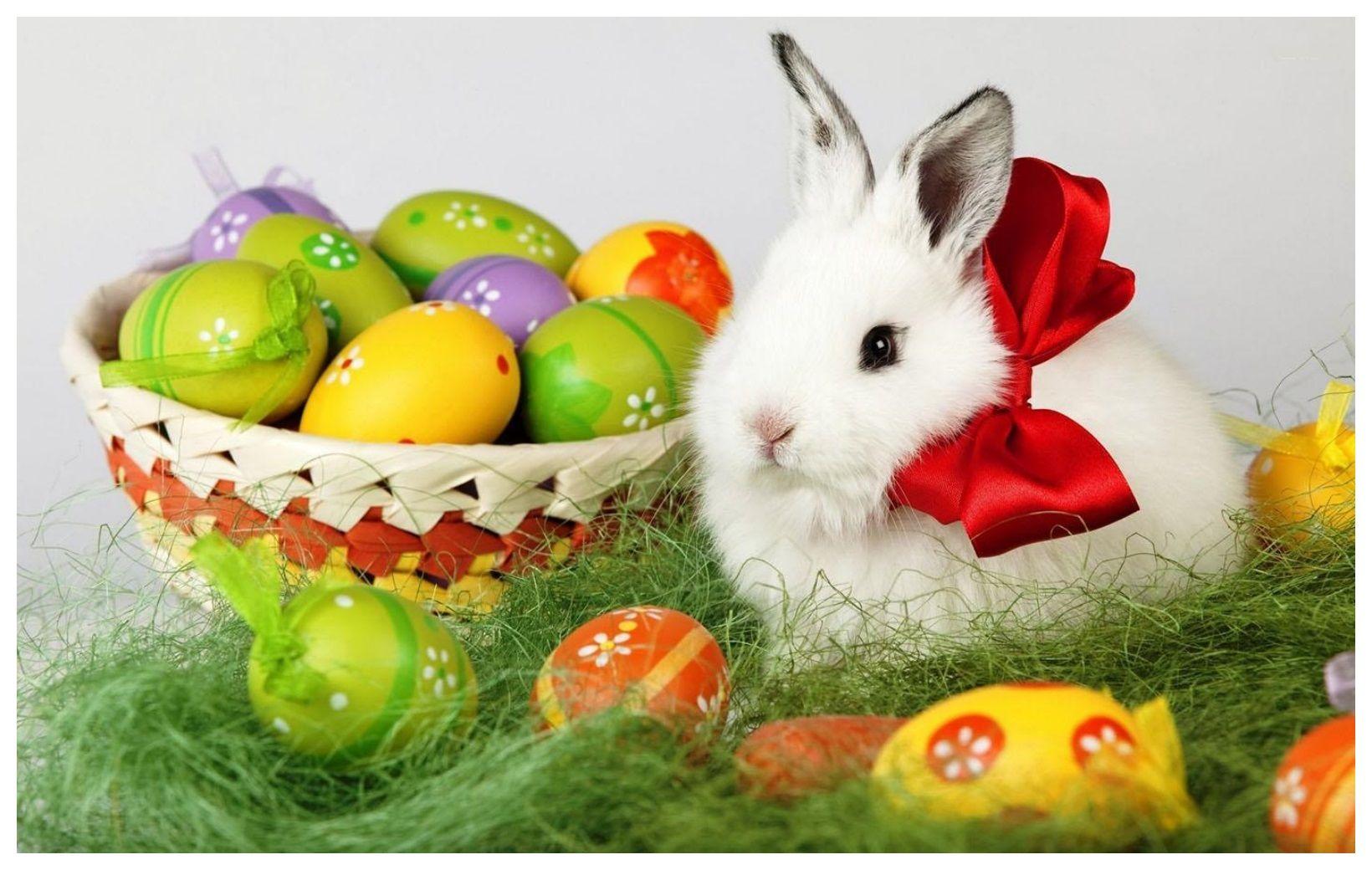 Easter Bunny HD Wallpapers Wallpaper Cave