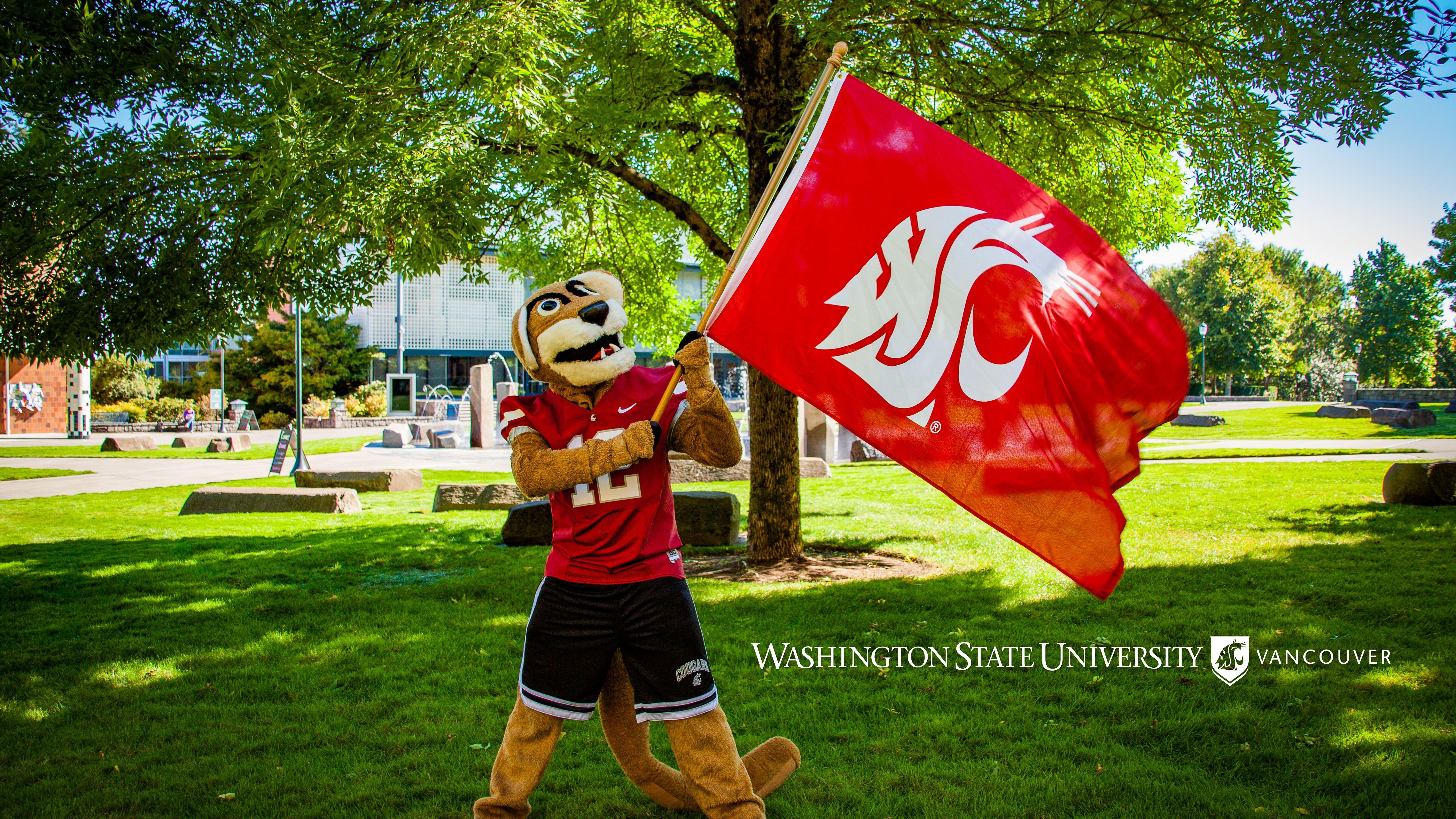 Washington State University Wallpapers Wallpaper Cave