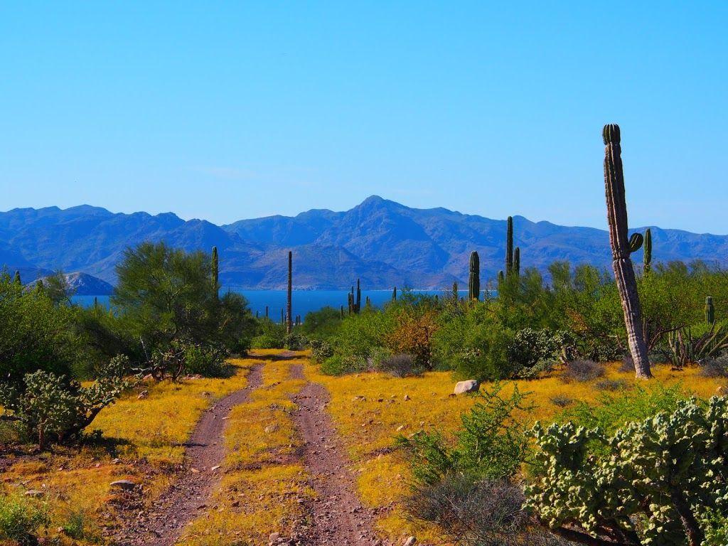 Baja California Wallpapers Wallpaper Cave