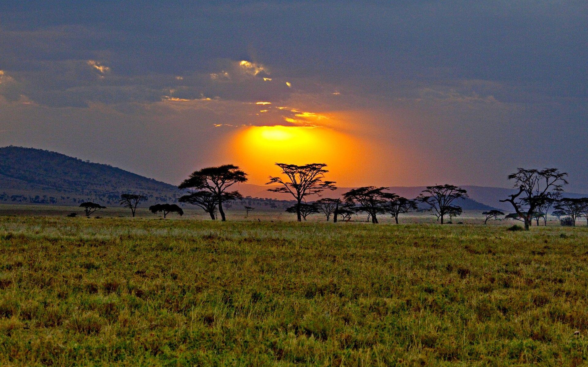 African Savanna Wallpapers Wallpaper Cave