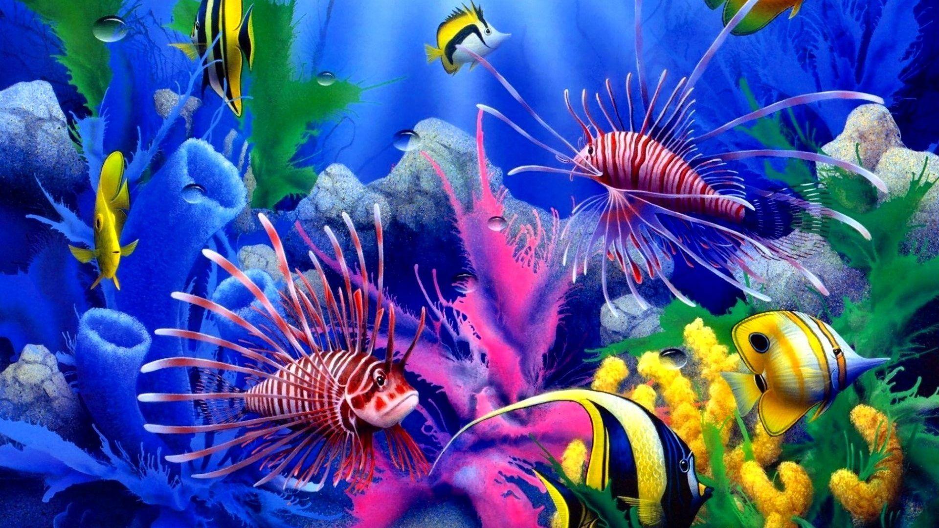 Sea Life HD Wallpapers Wallpaper Cave