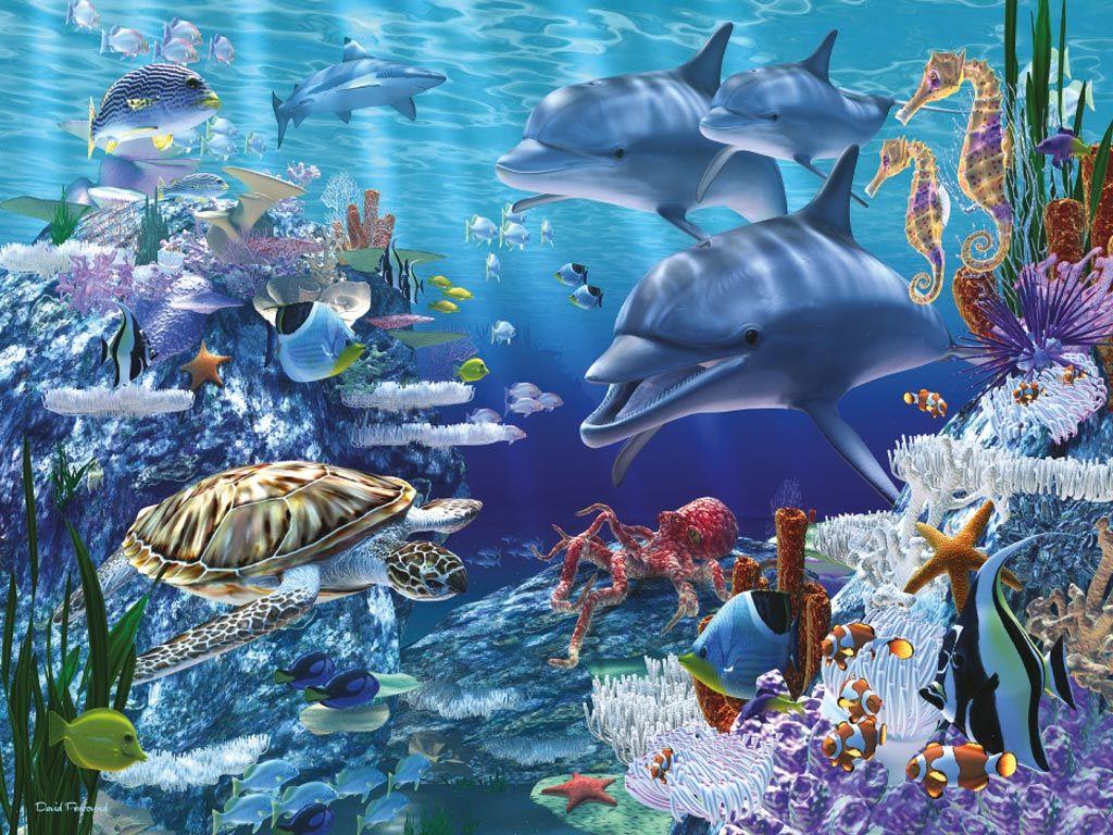 Sea Life HD Wallpapers Wallpaper Cave