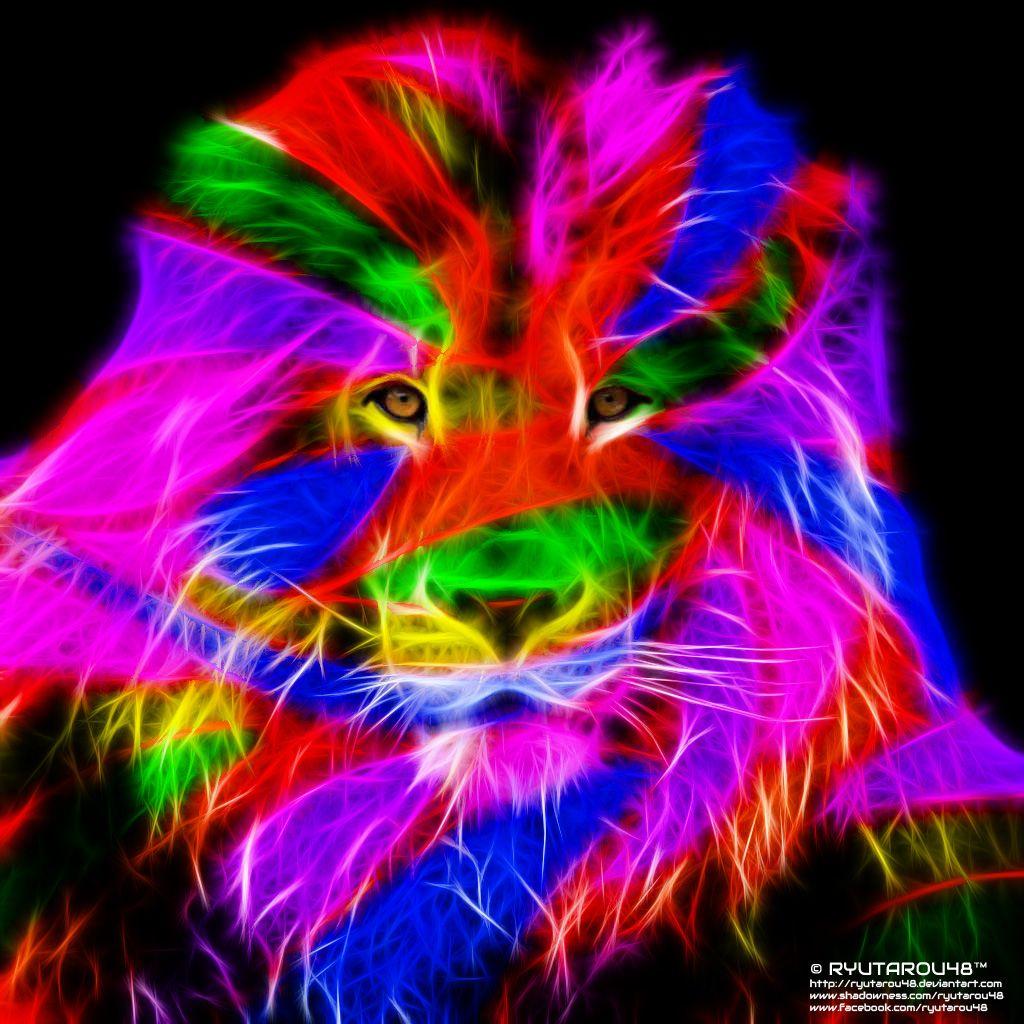 Rainbow Lion Wallpapers Wallpaper Cave