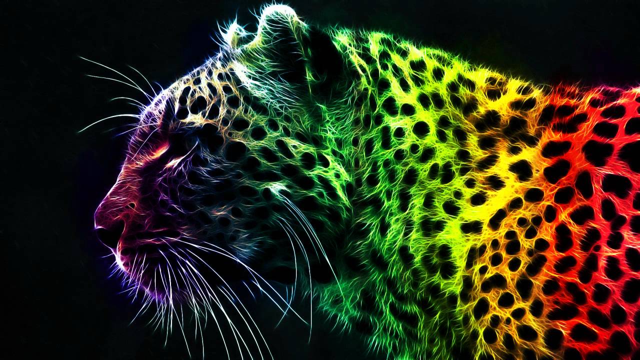 Rainbow Lion Wallpapers Wallpaper Cave