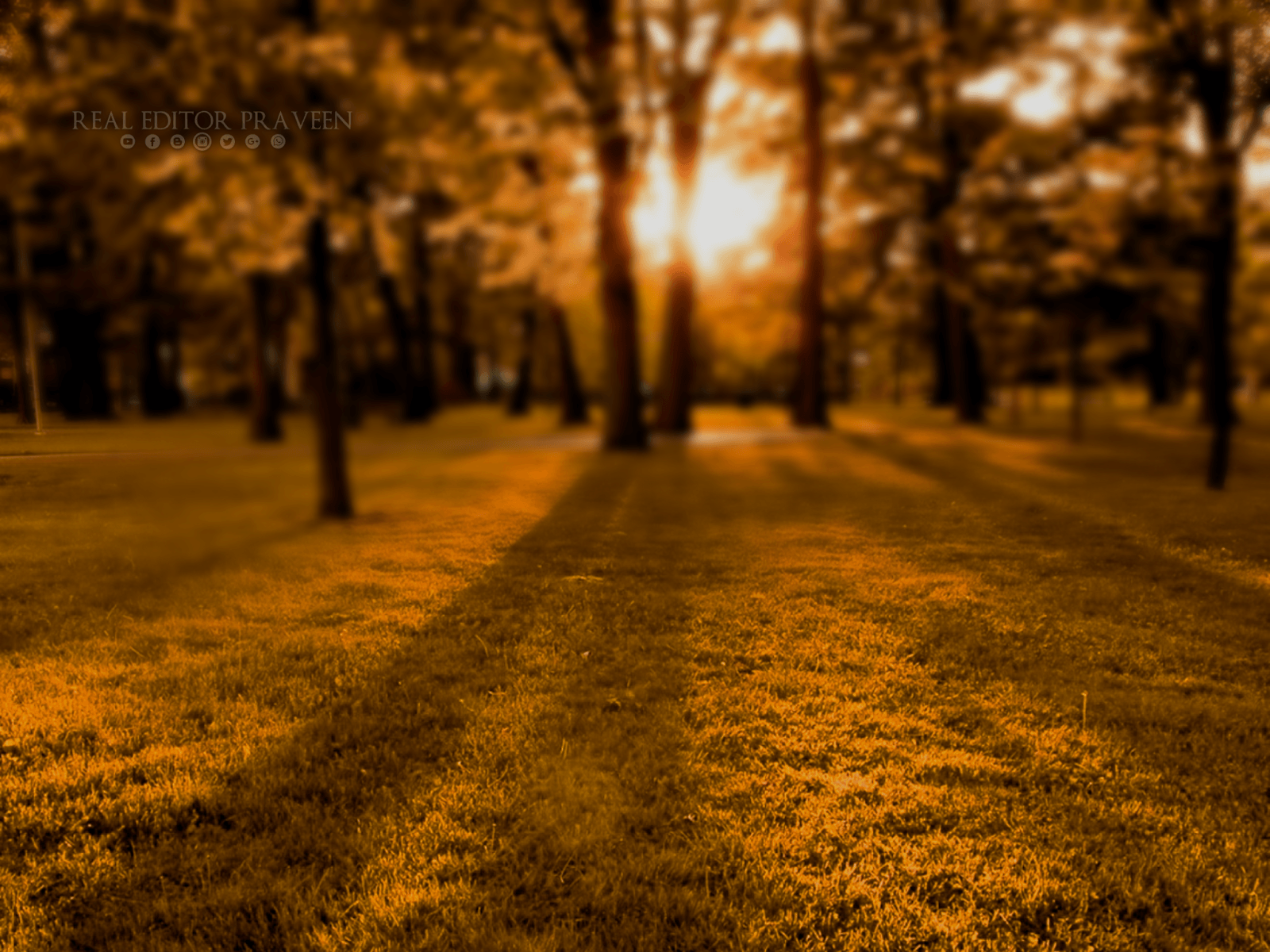 Background Wallpapers For Editing