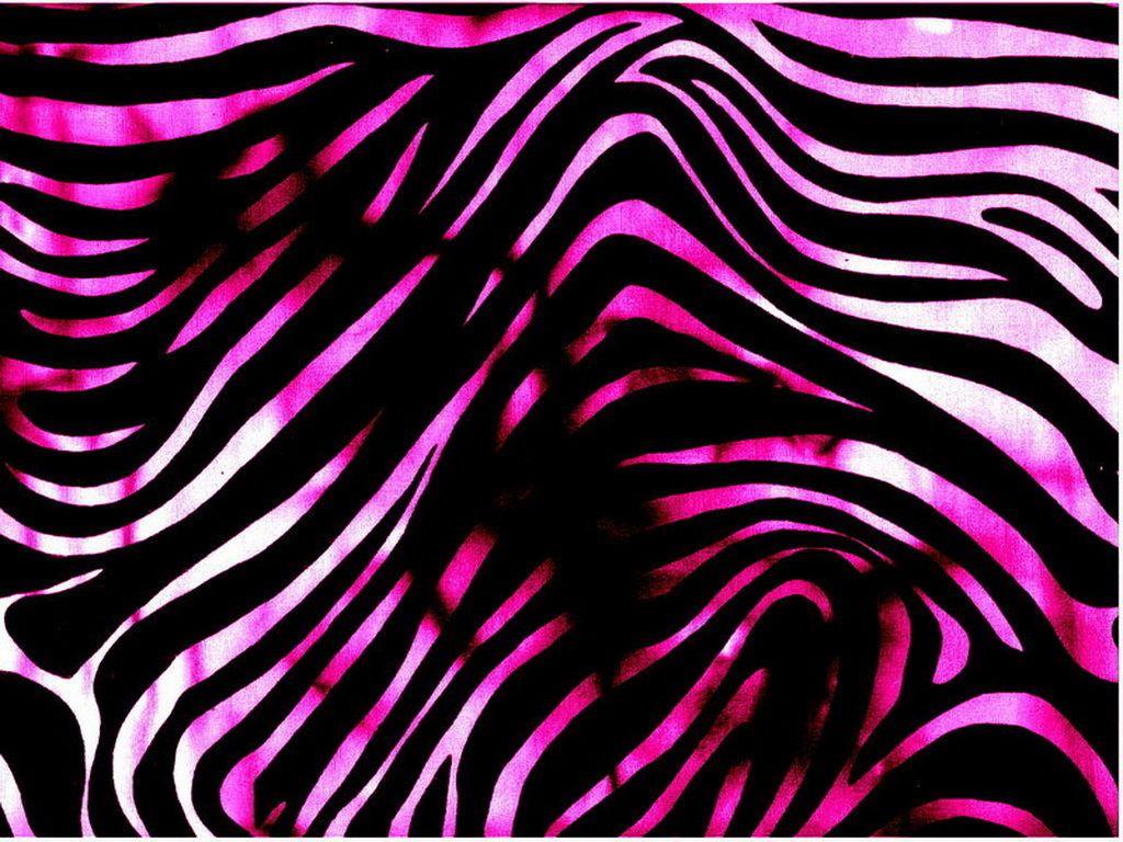 Pink Zebra Wallpapers Wallpaper Cave