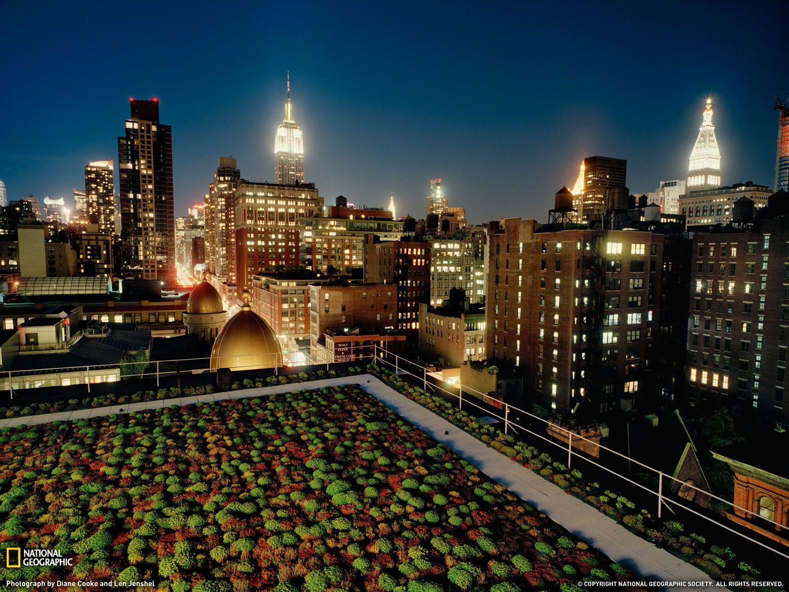 Roof Wallpapers Wallpaper Cave