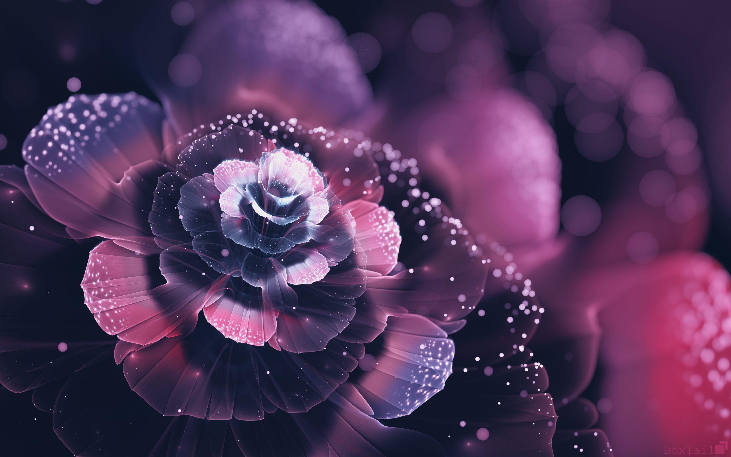 Abstract Flower Wallpapers Wallpaper Cave