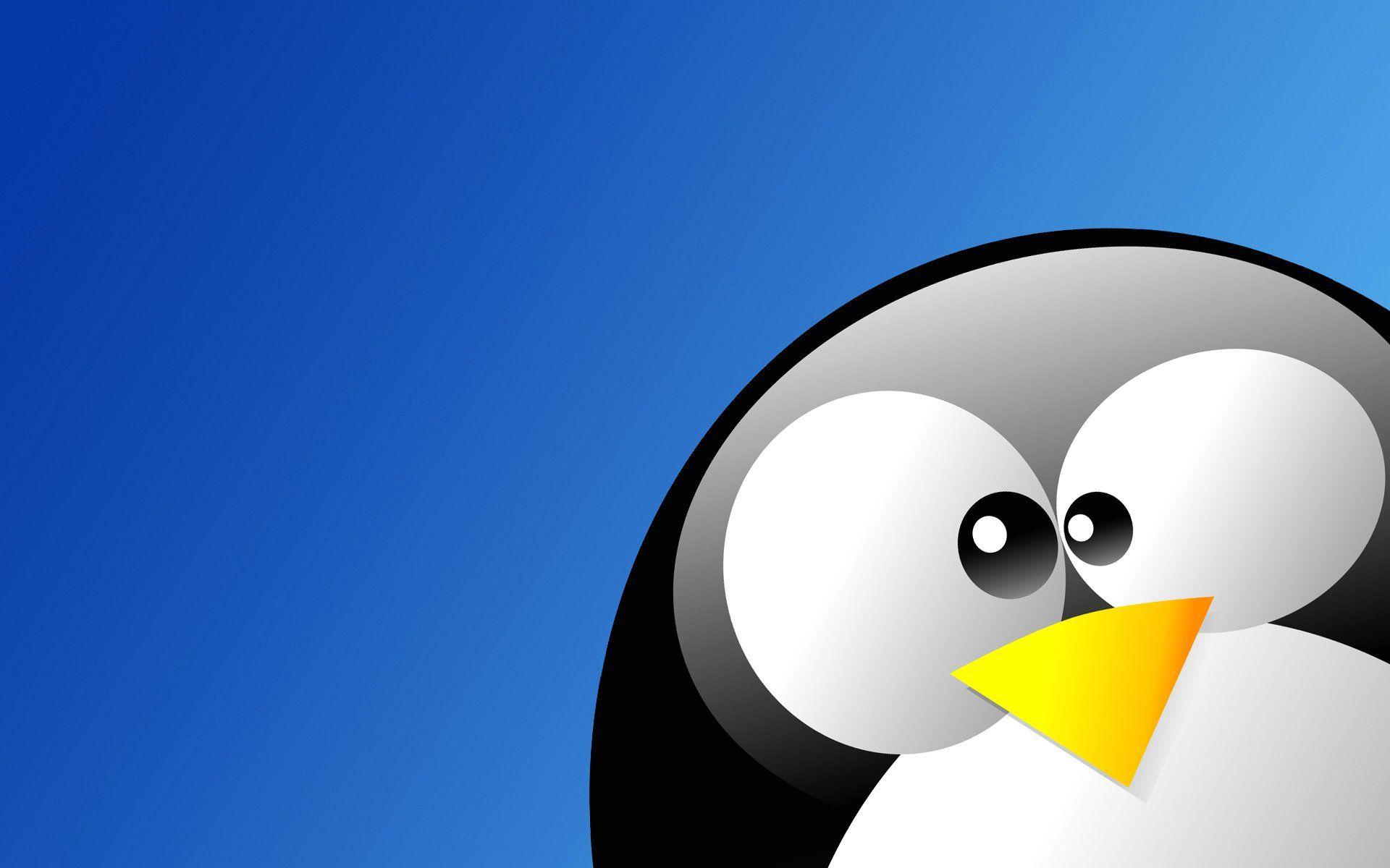 Animated Penguin Wallpapers Wallpaper Cave