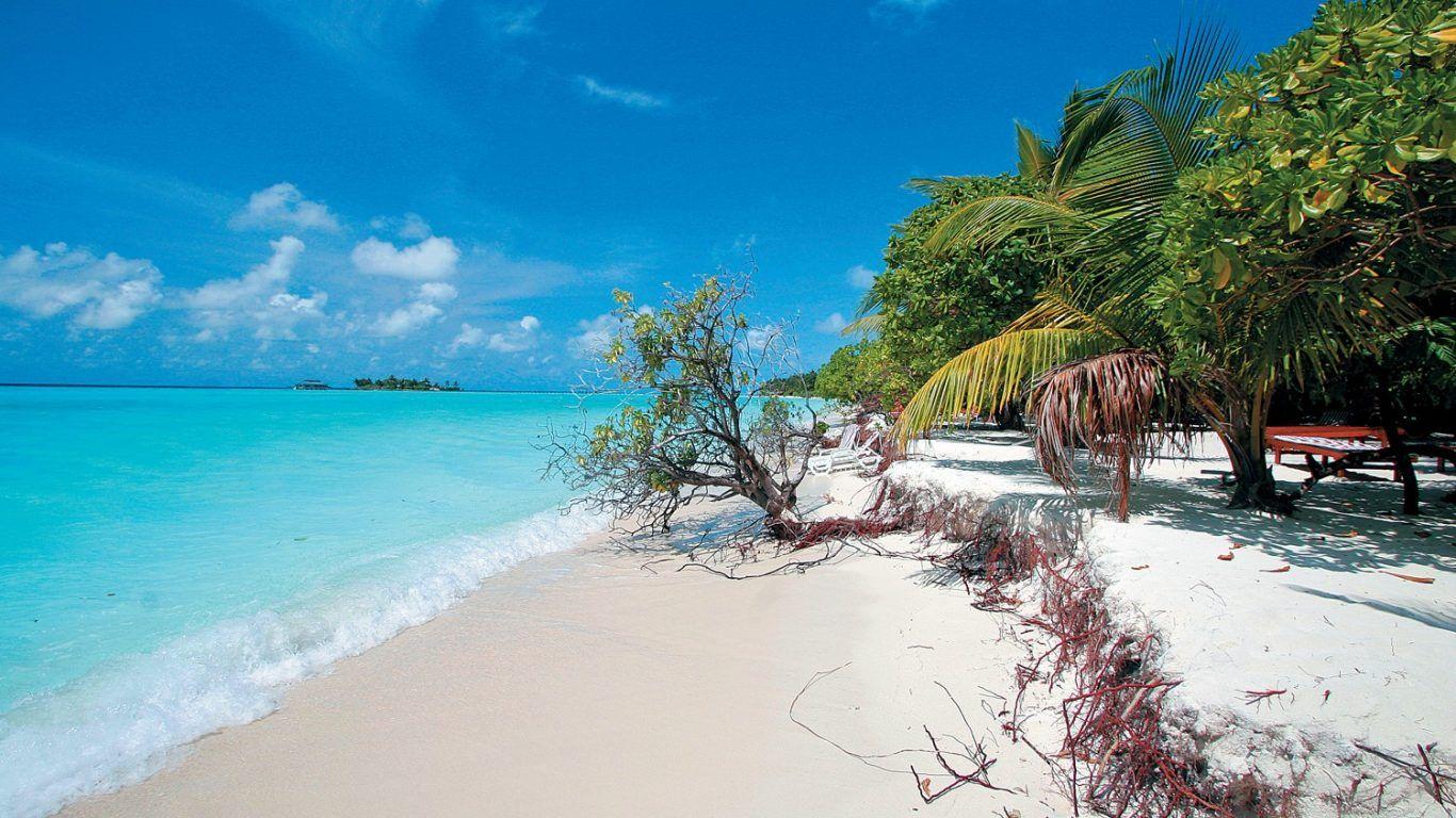 Tulum Wallpapers Wallpaper Cave