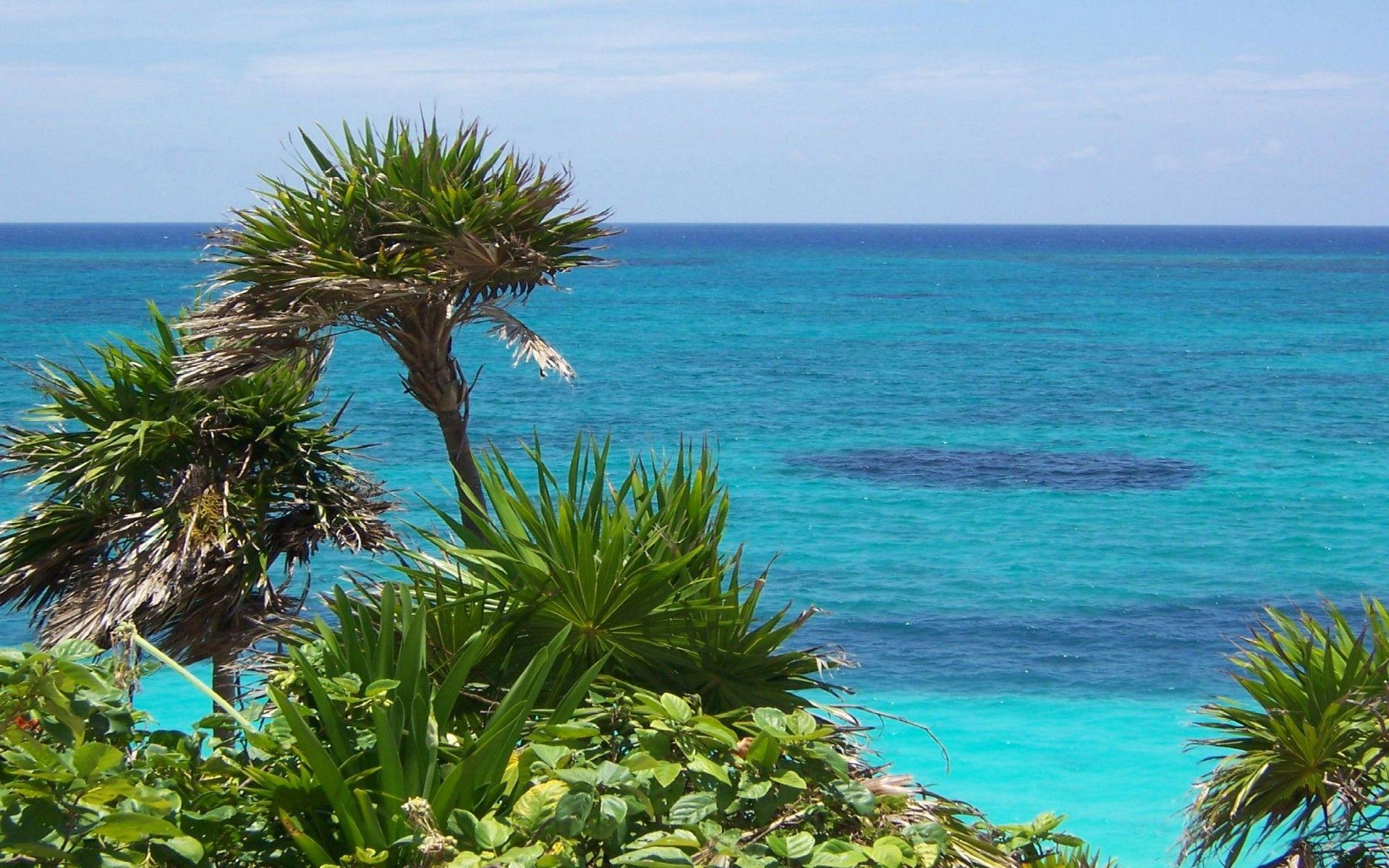 Tulum Wallpapers Wallpaper Cave