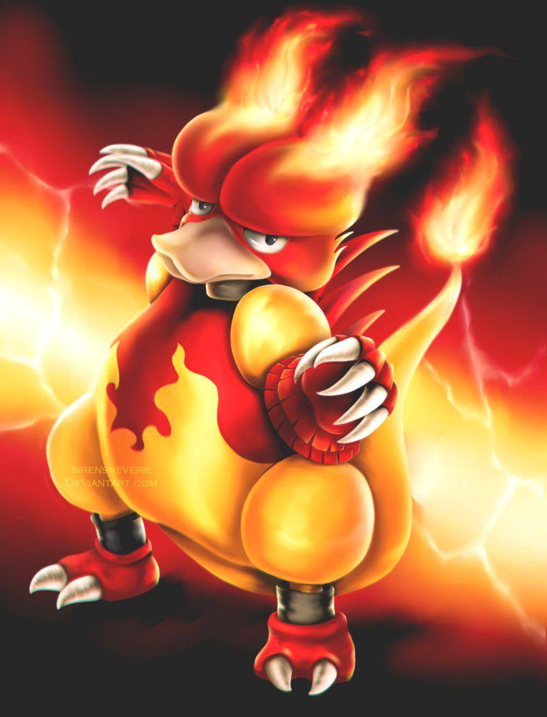Pokemon Magmar Wallpaper