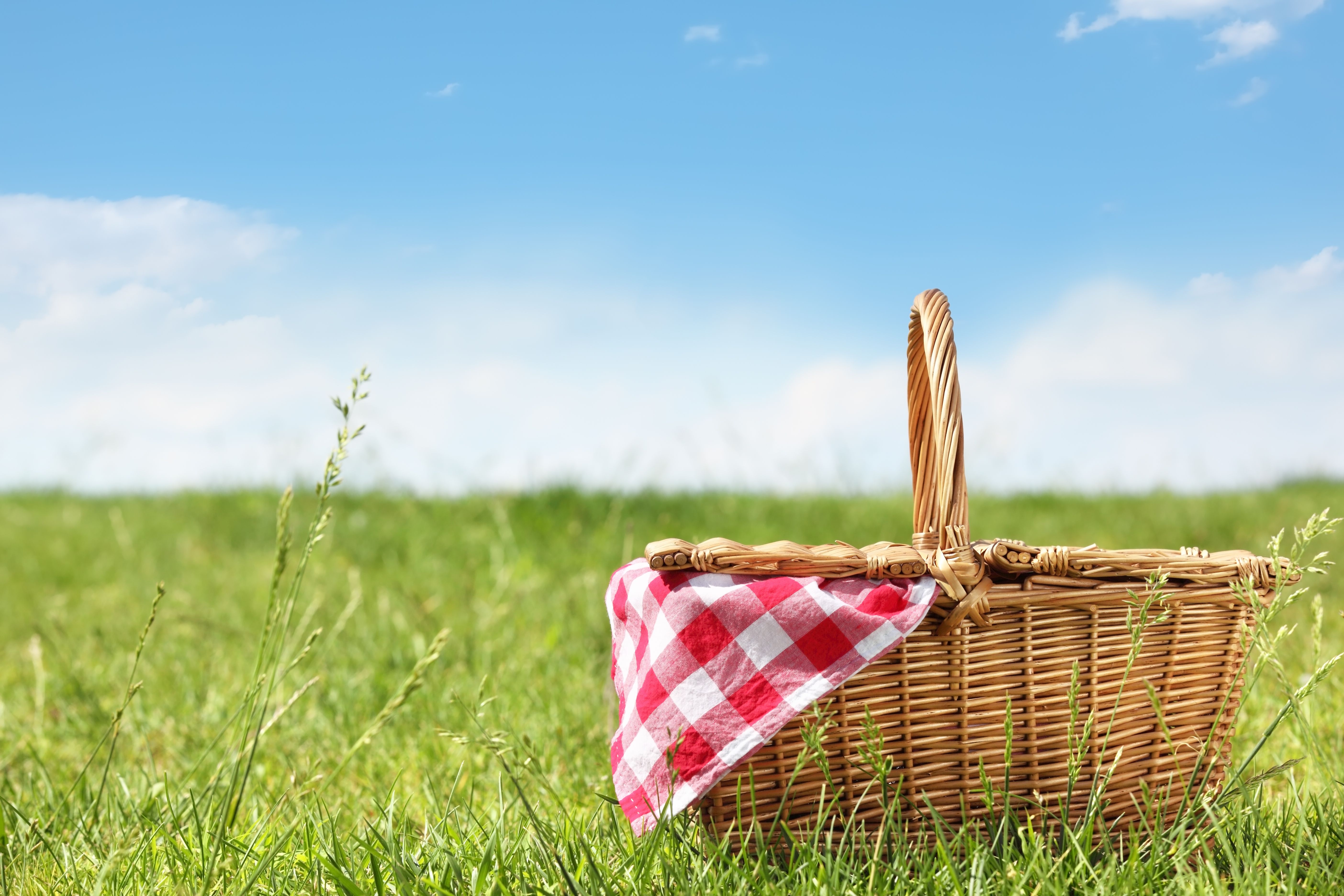 Fantastic Picnic Wallpapers Wallpaper Cave