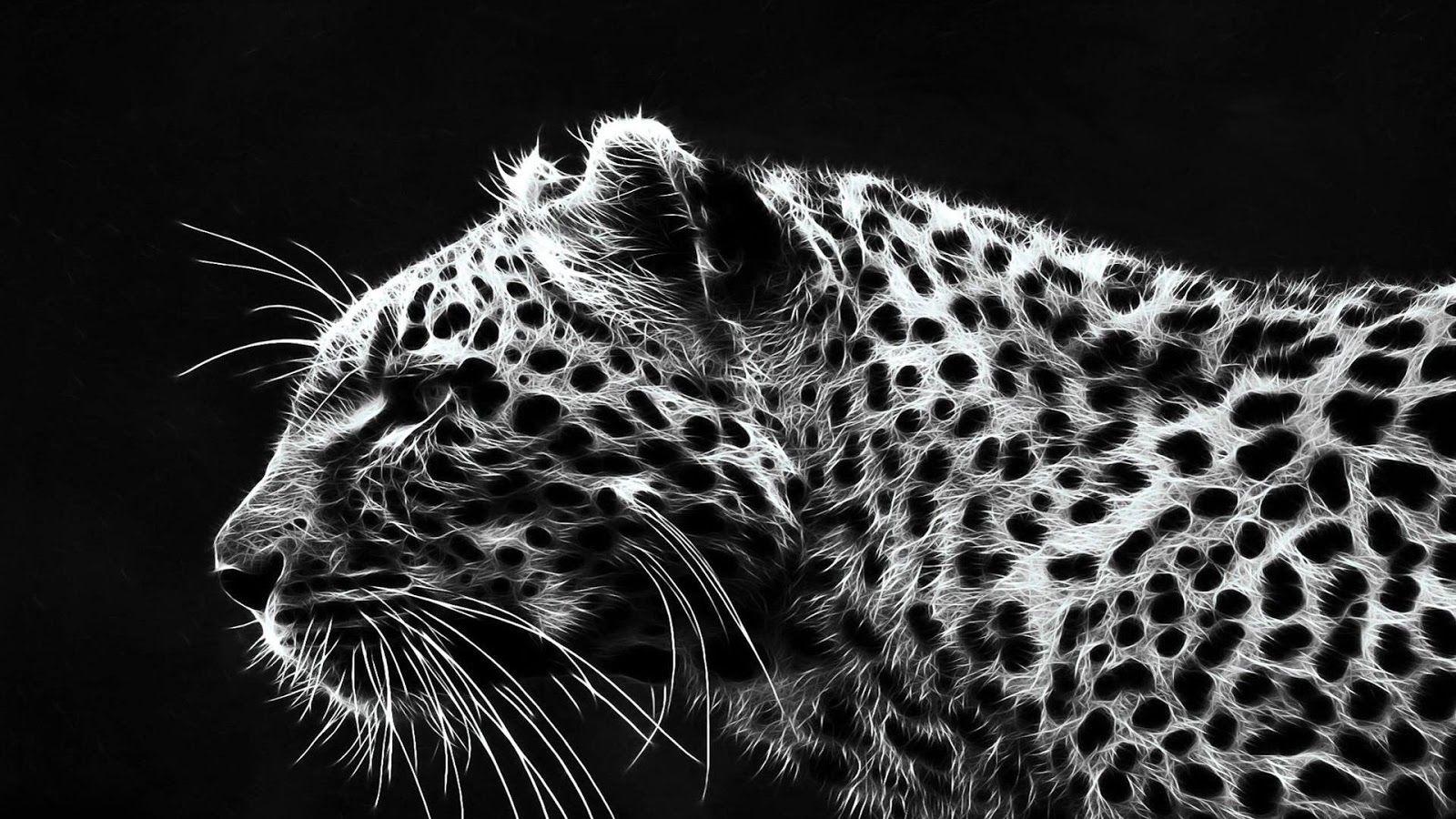 White Cheetah Wallpapers Wallpaper Cave