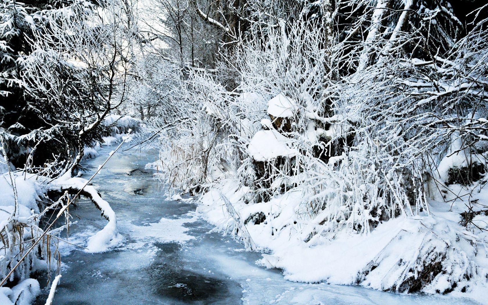 Freeze Wallpapers Wallpaper Cave