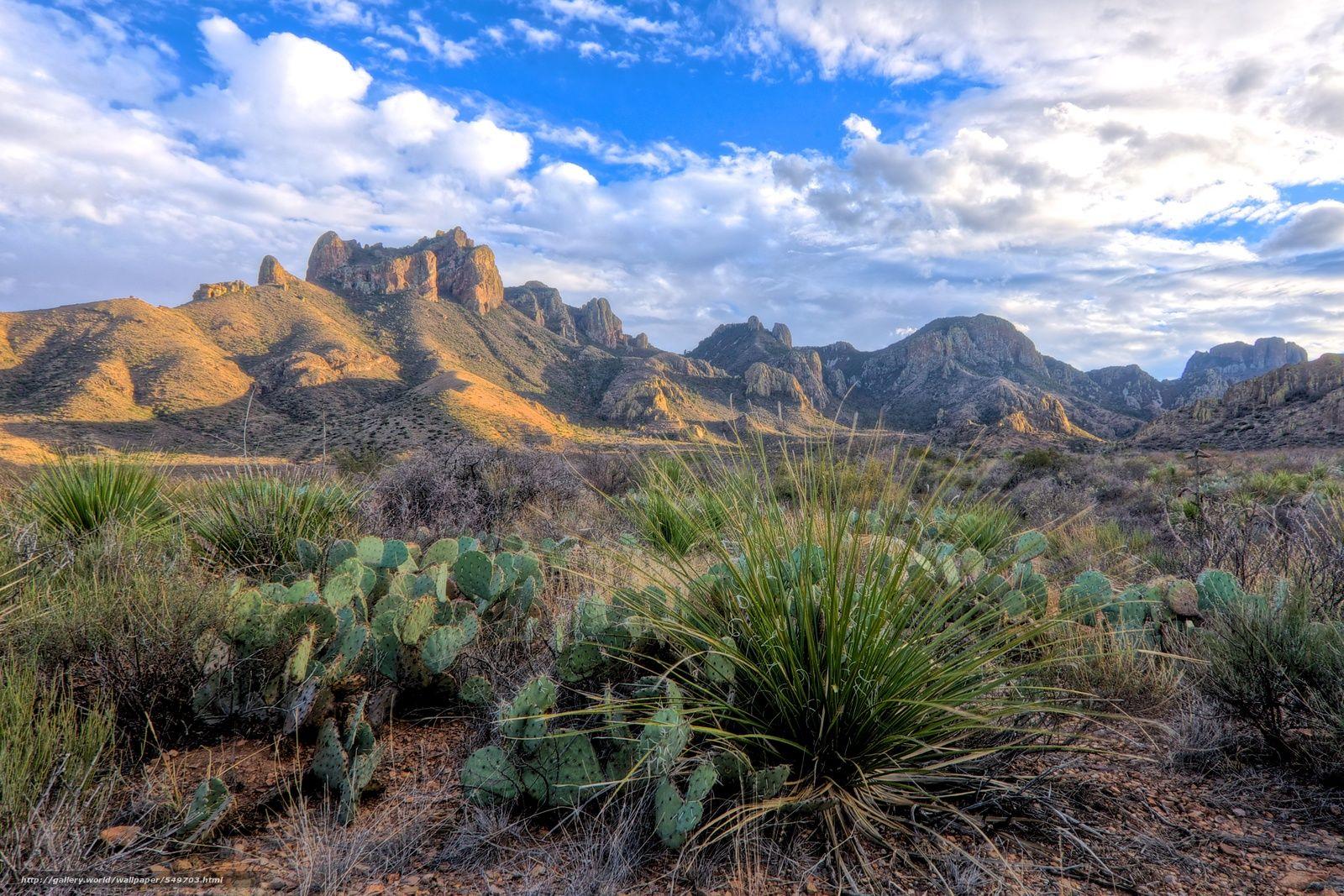 Big Bend National Park Wallpapers Wallpaper Cave