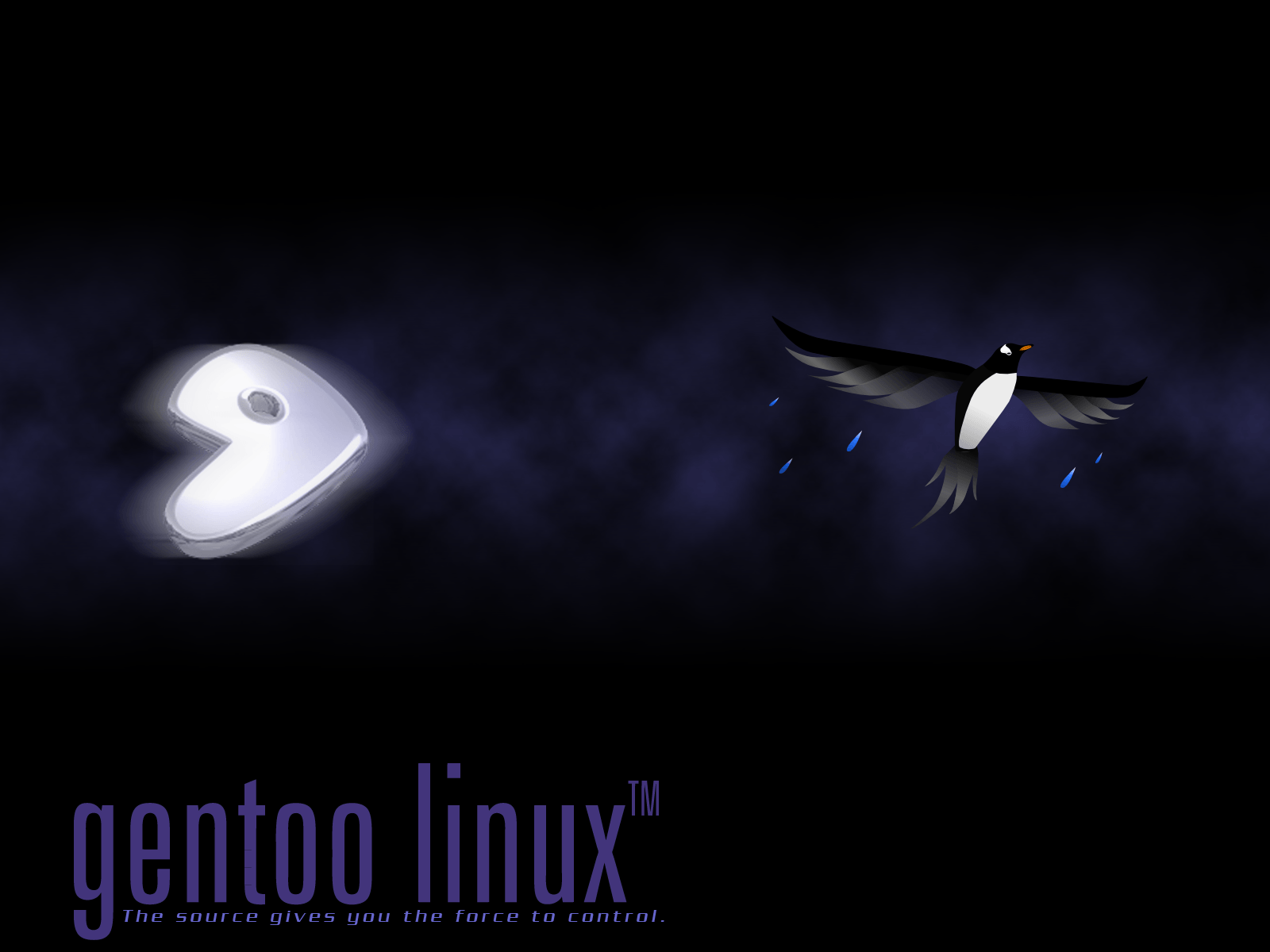 Gentoo Wallpapers Wallpaper Cave