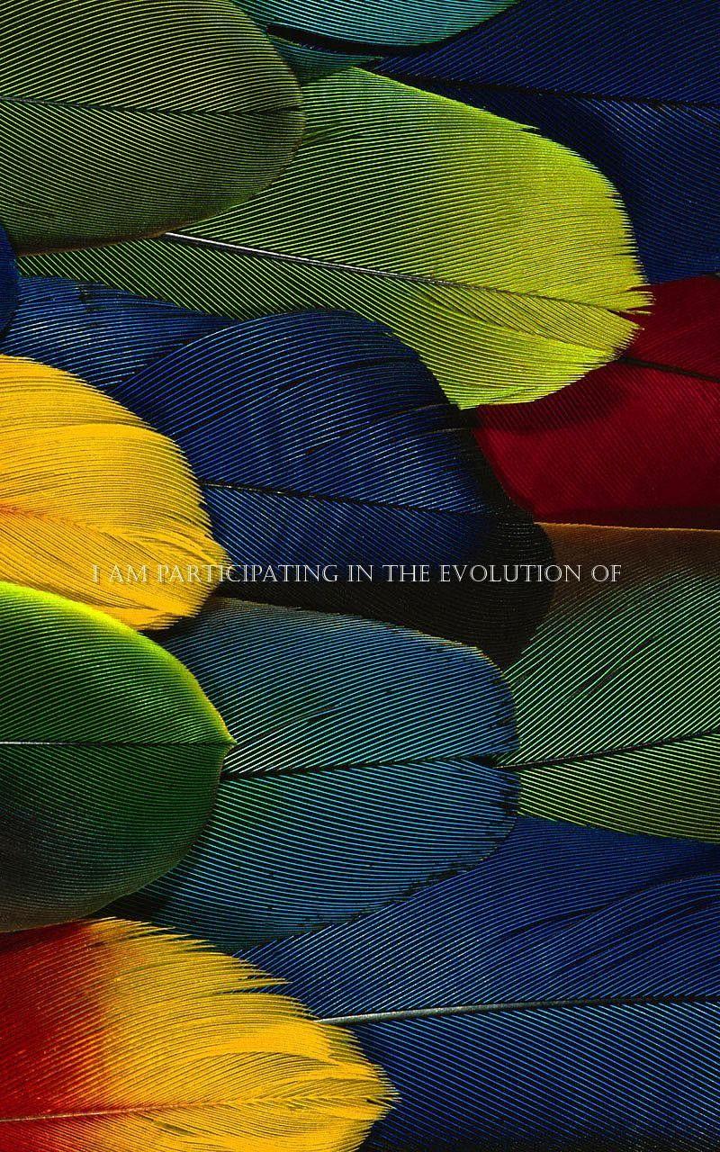 Trending Wallpapers Wallpaper Cave