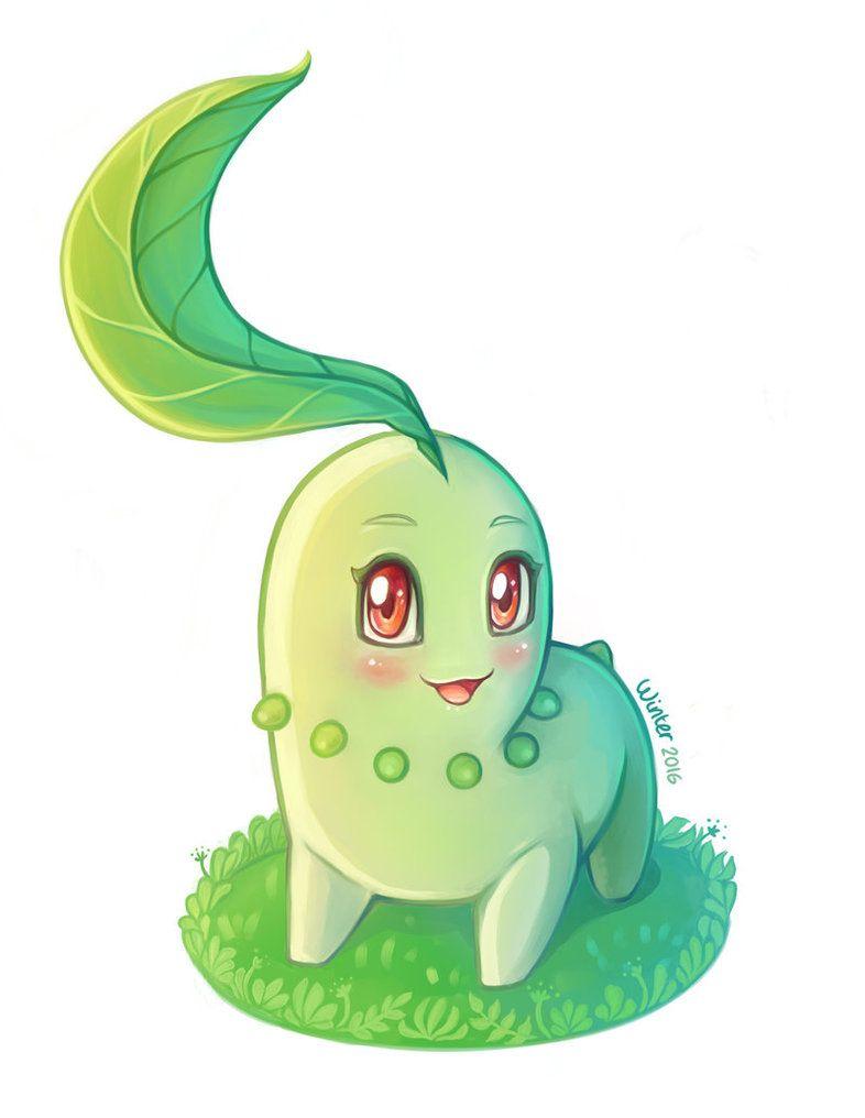 Chikorita HD Wallpapers Wallpaper Cave