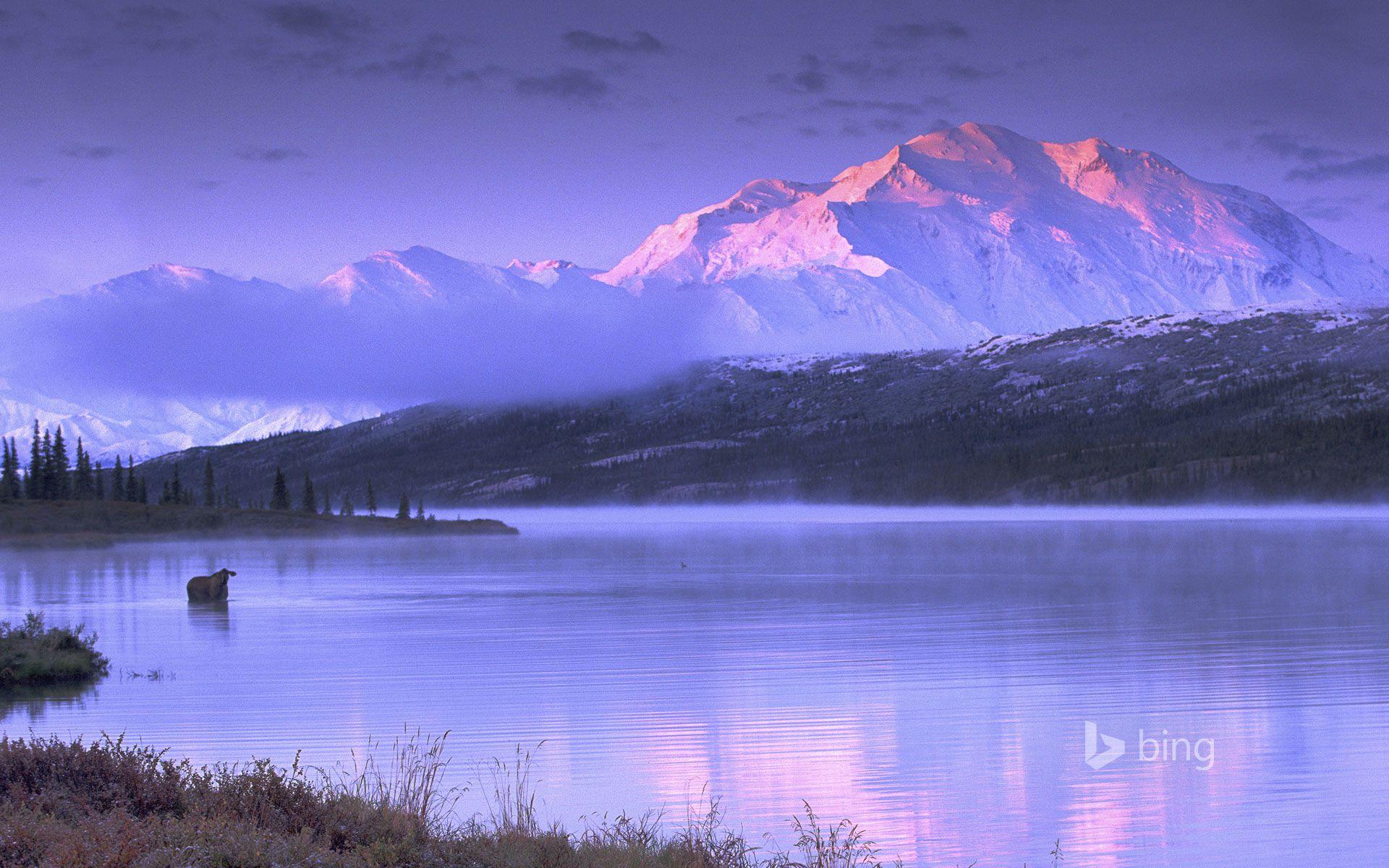 Denali National Park And Preserve Wallpapers Wallpaper Cave