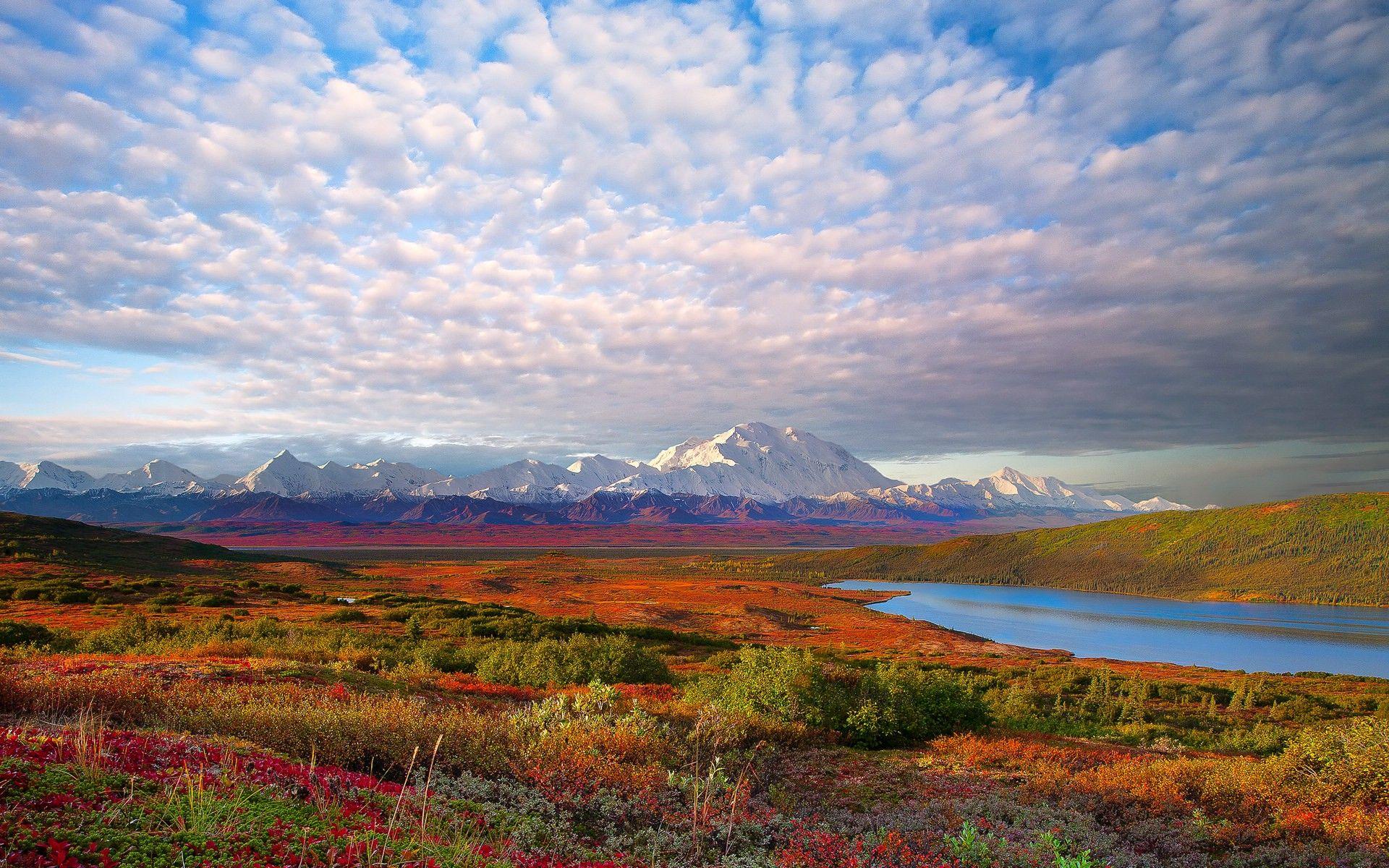 Denali National Park And Preserve Wallpapers Wallpaper Cave