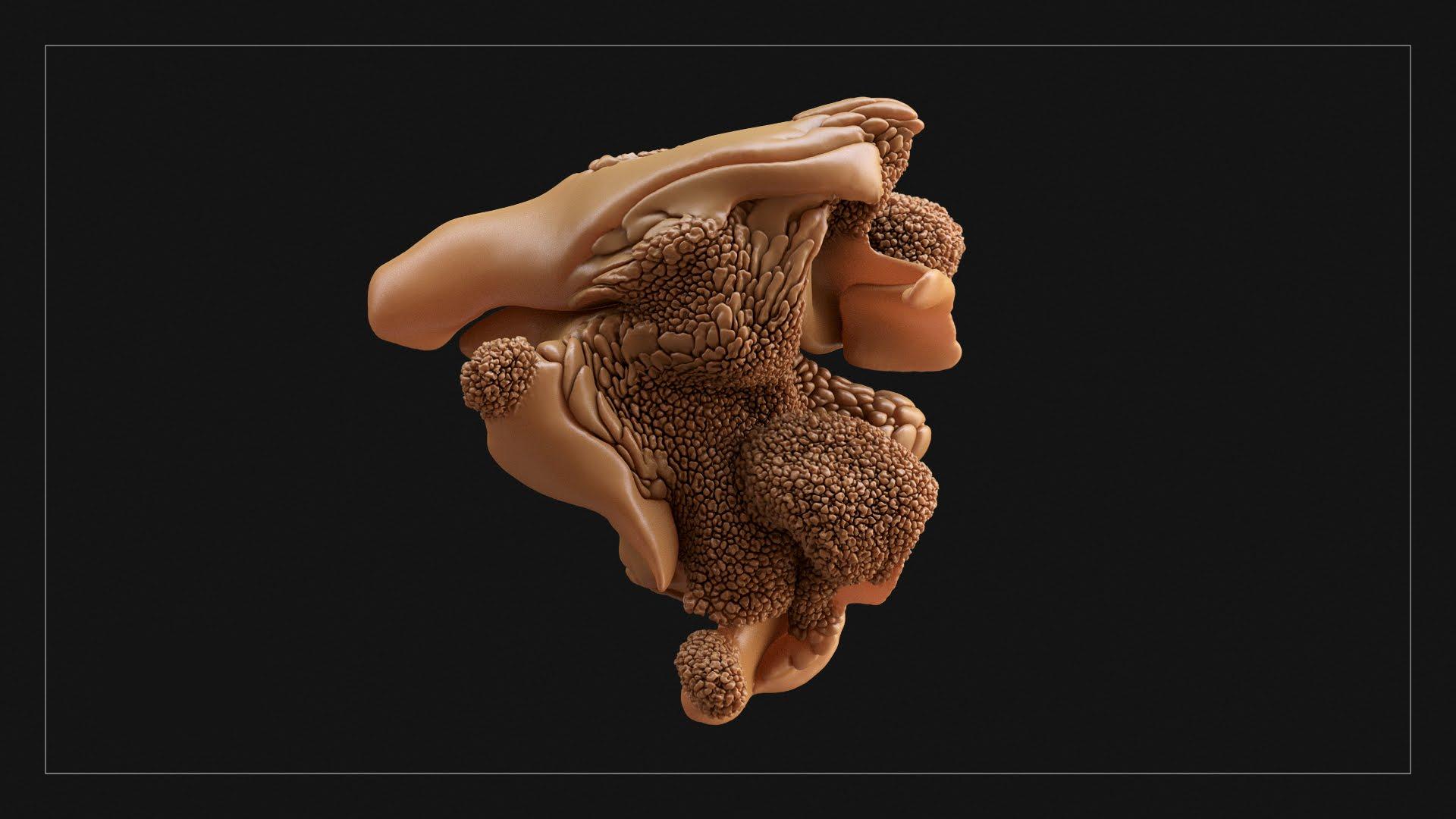 Neri Oxman Wallpapers Wallpaper Cave