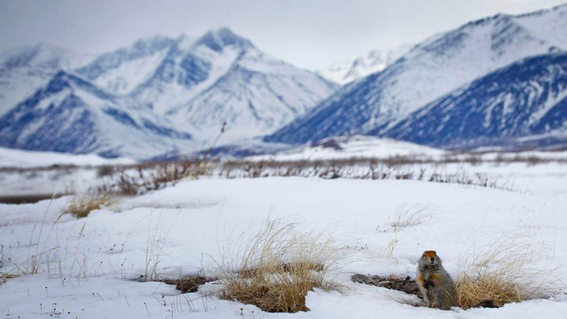 Gates Of The Arctic National Park And Preserve Wallpapers Wallpaper Cave