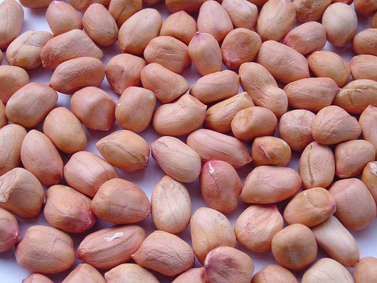 Groundnut Wallpapers Wallpaper Cave