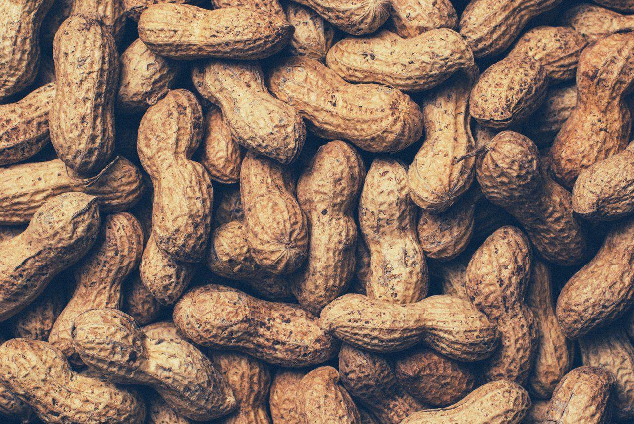 Groundnut Wallpapers Wallpaper Cave