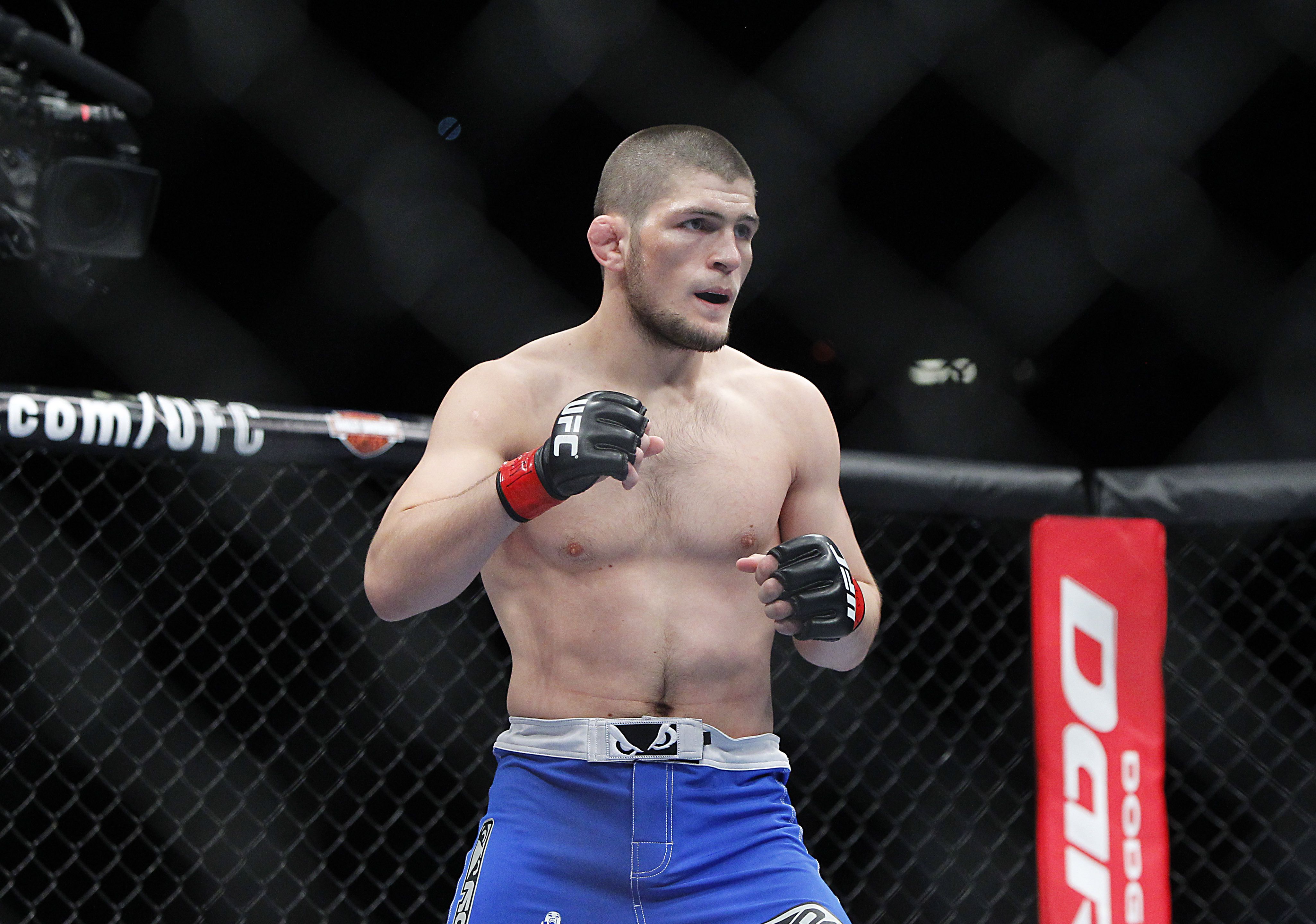 Khabib Nurmagomedov Wallpapers Wallpaper Cave