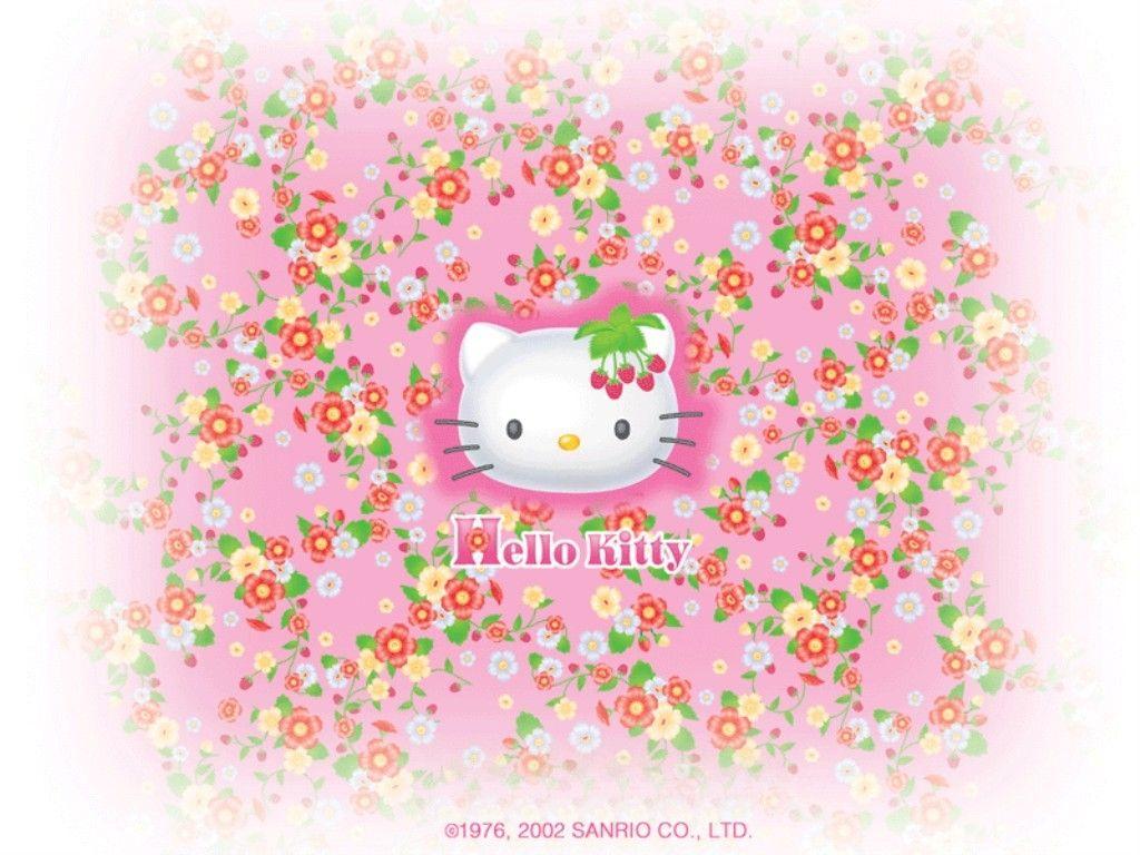 Hello Kitty Floral Wallpapers Wallpaper Cave