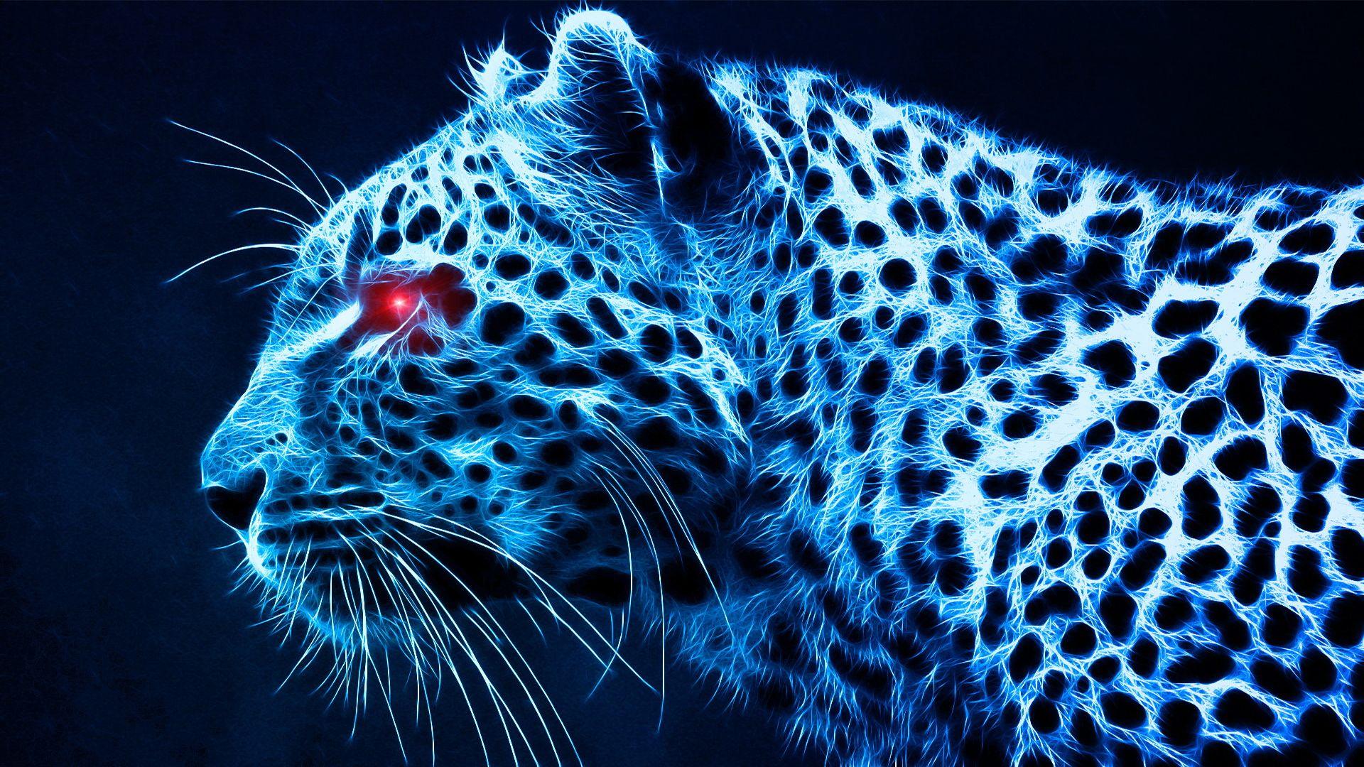 Black Leopard Backgrounds Wallpaper Cave