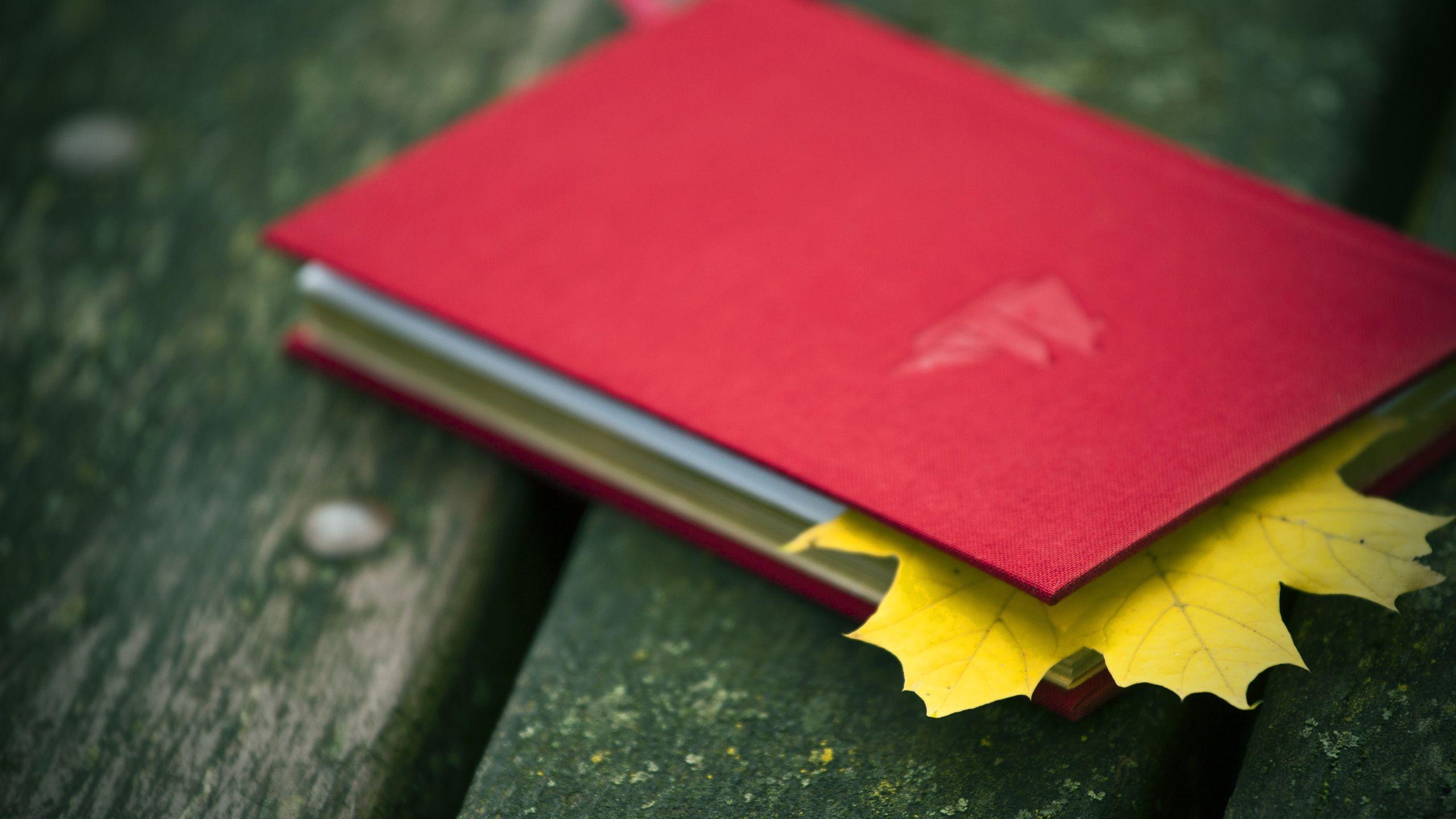 Notepad Wallpapers Wallpaper Cave