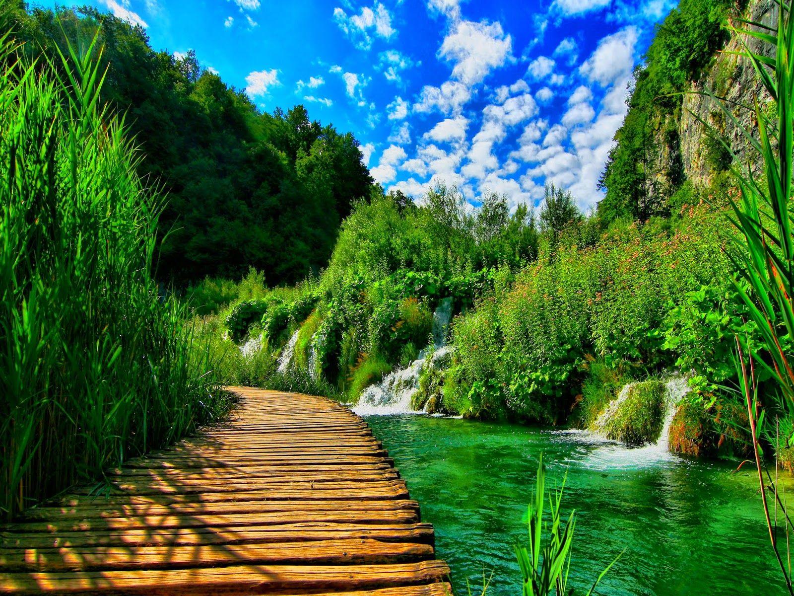 Beautiful Nature Wallpapers For Mobile Wallpaper Cave