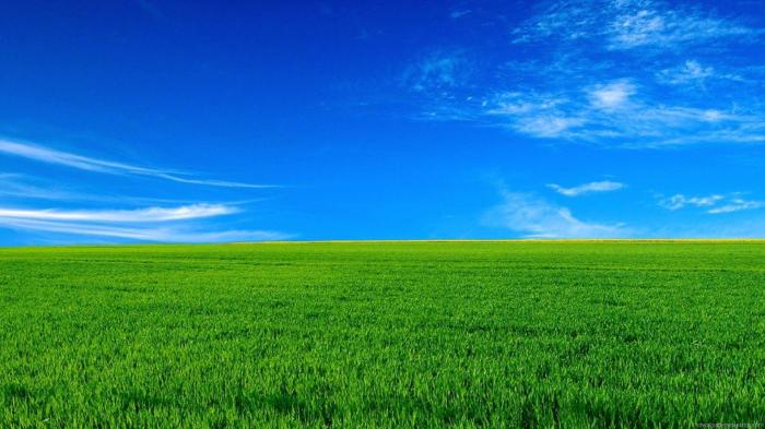 Nature 1080p hd wallpapers wallpaper What is the best diuretic for high blood pressure