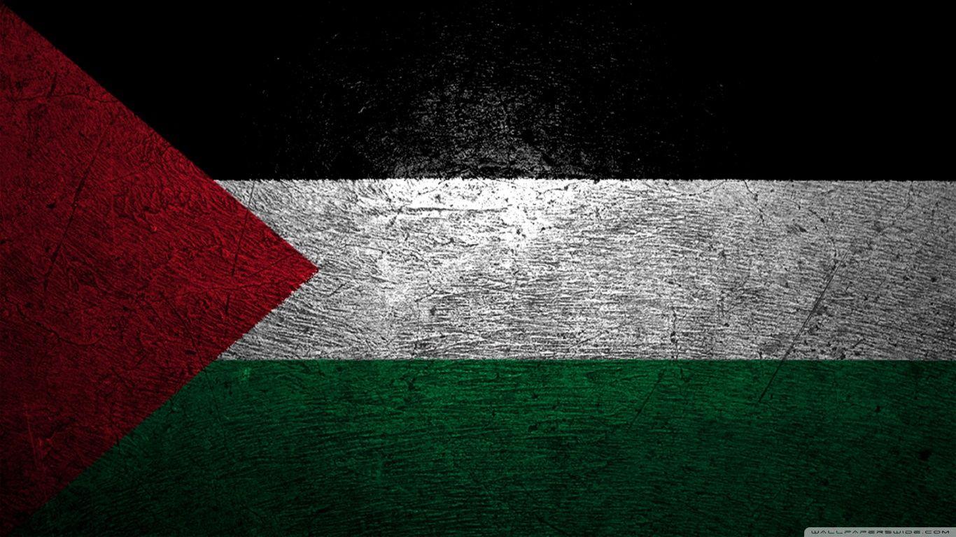 Bendera Palestina Wallpapers Wallpaper Cave
