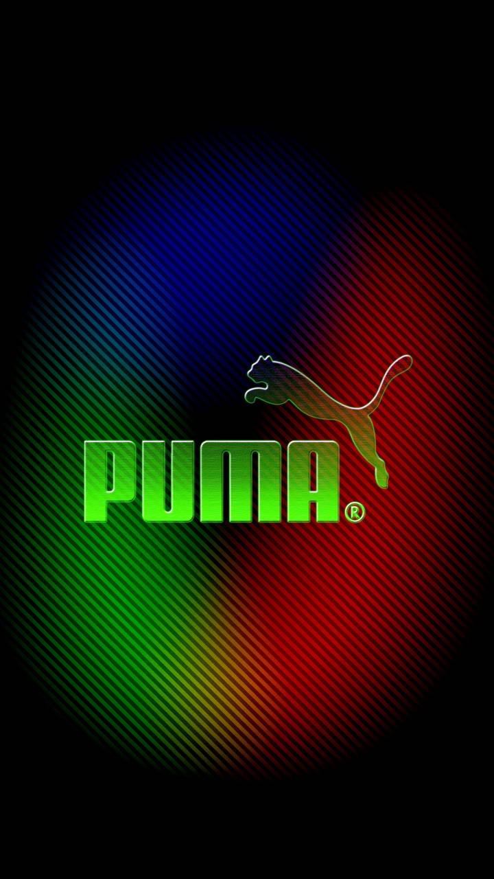 Puma Wallpapers Wallpaper Cave
