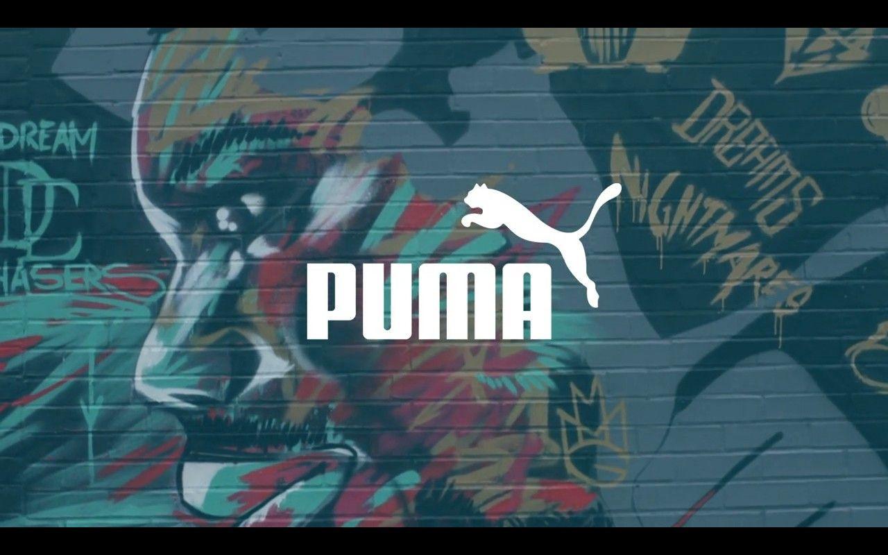 Puma Wallpapers Wallpaper Cave