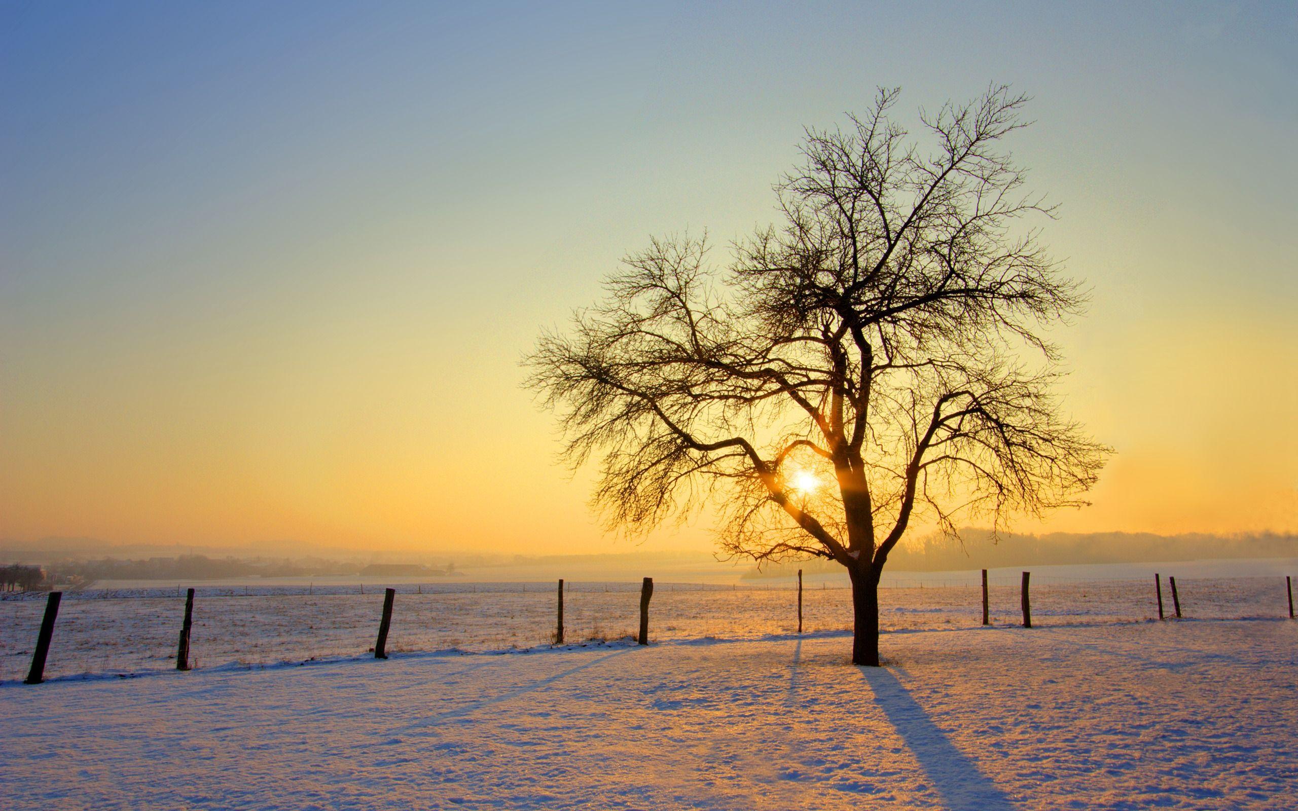 Winter Morning Wallpapers Wallpaper Cave