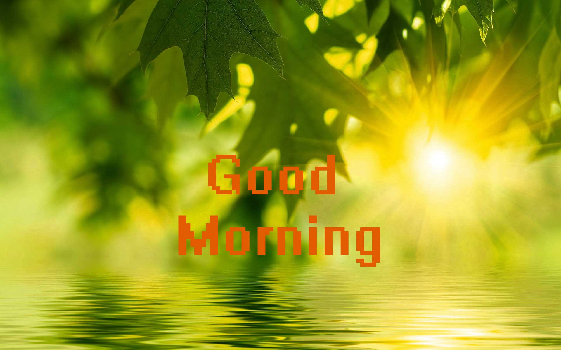 Nature Good Morning Wallpapers Wallpaper Cave
