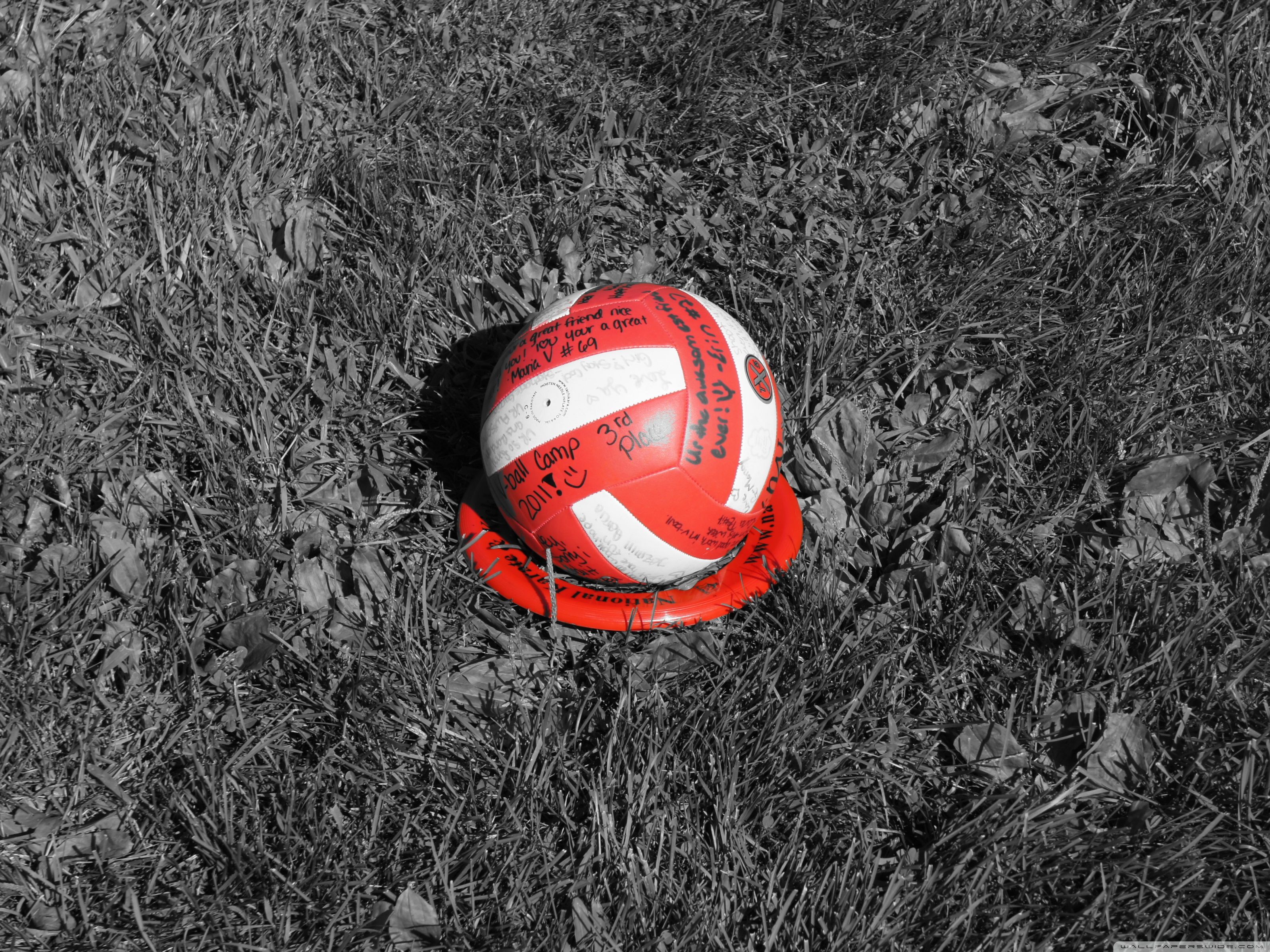 Volleyball Wallpapers Wallpaper Cave