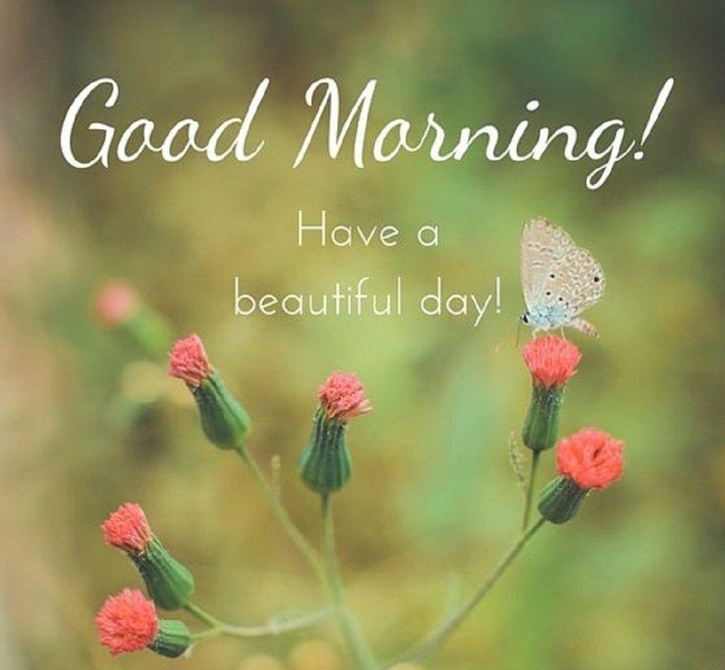 Good Morning HD Wallpapers Wallpaper Cave