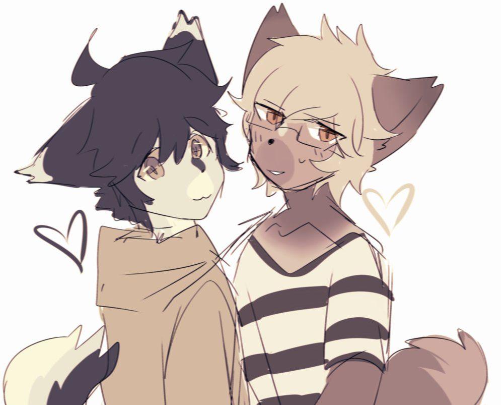 Gay Furry Pride Wallpapers Wallpaper Cave