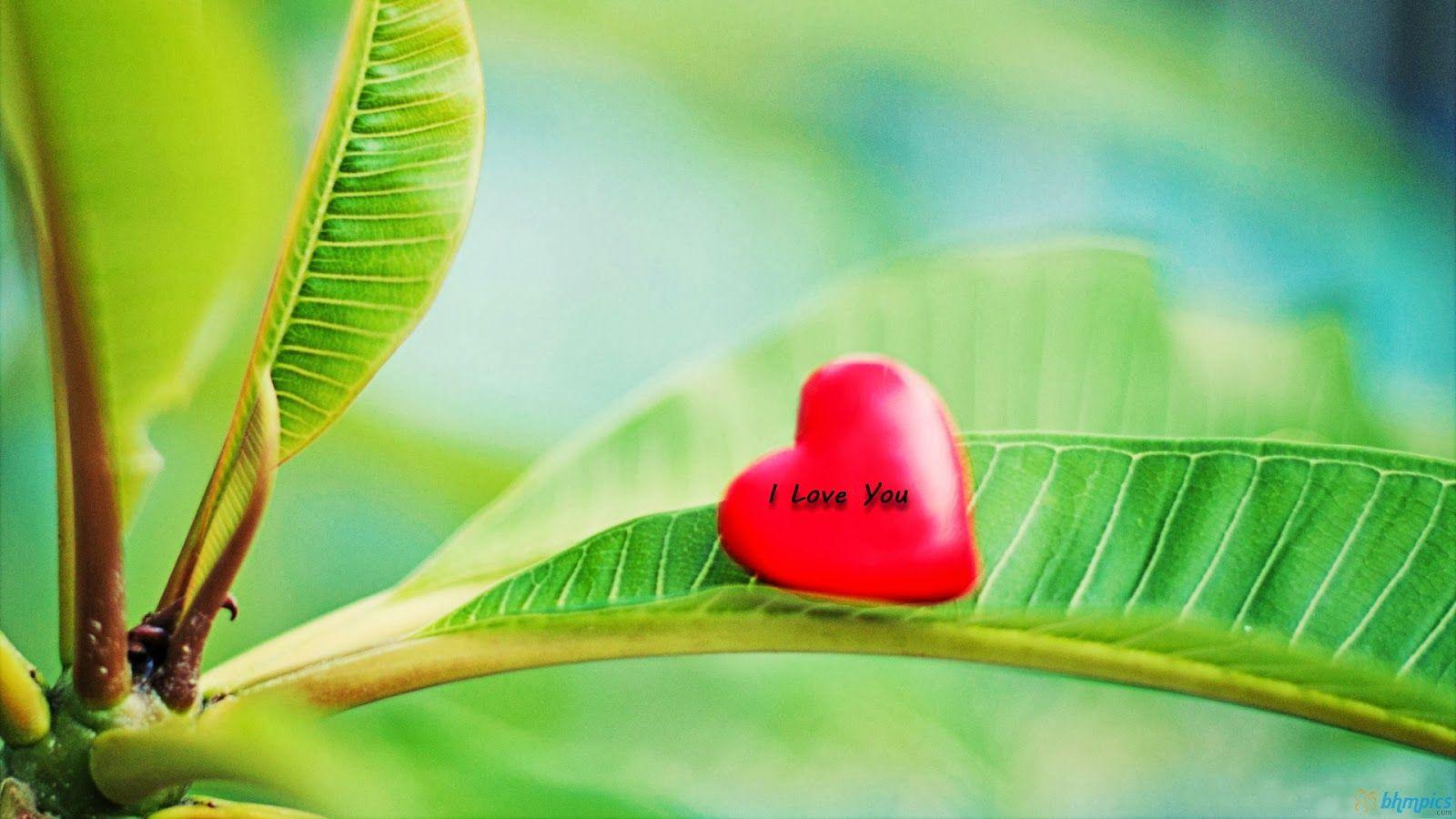 Beautiful Love Wallpapers For Desktop Full Screen Wallpaper Cave